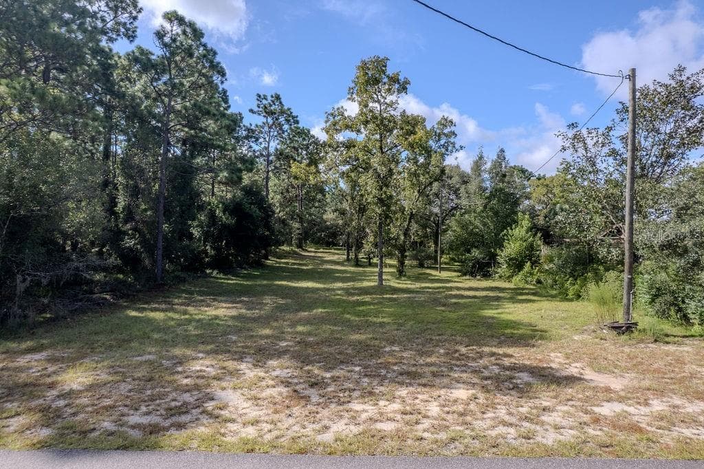 Single Family Residence at 12960 SE 114TH PL, DUNNELLON, photo 39 of 61