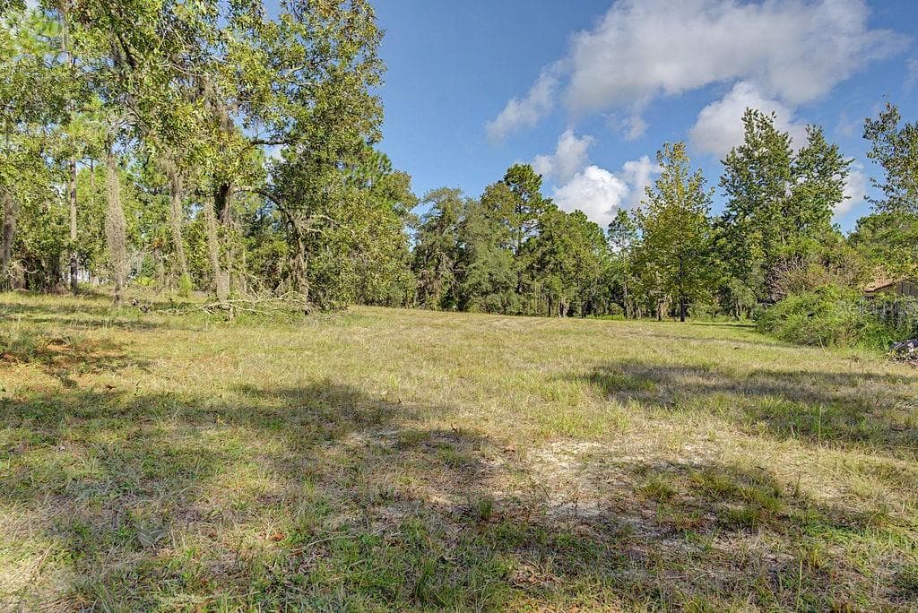 Single Family Residence at 12960 SE 114TH PL, DUNNELLON, photo 48 of 61