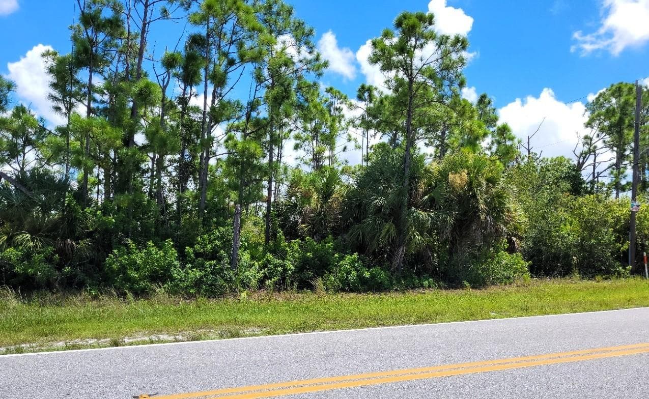 107 feet of road frontage. - 9500 HALLENDALE DR, PORT CHARLOTTE