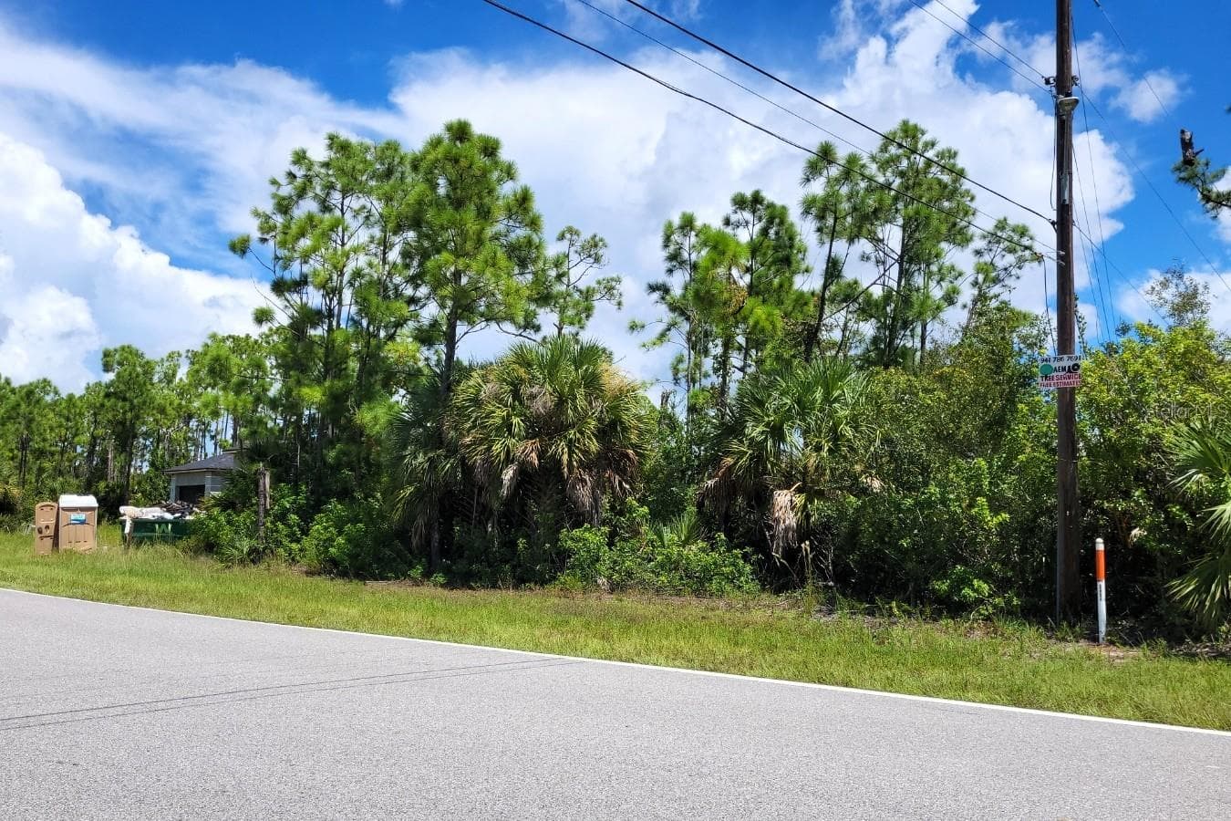 Power pole on site. - 9500 HALLENDALE DR, PORT CHARLOTTE