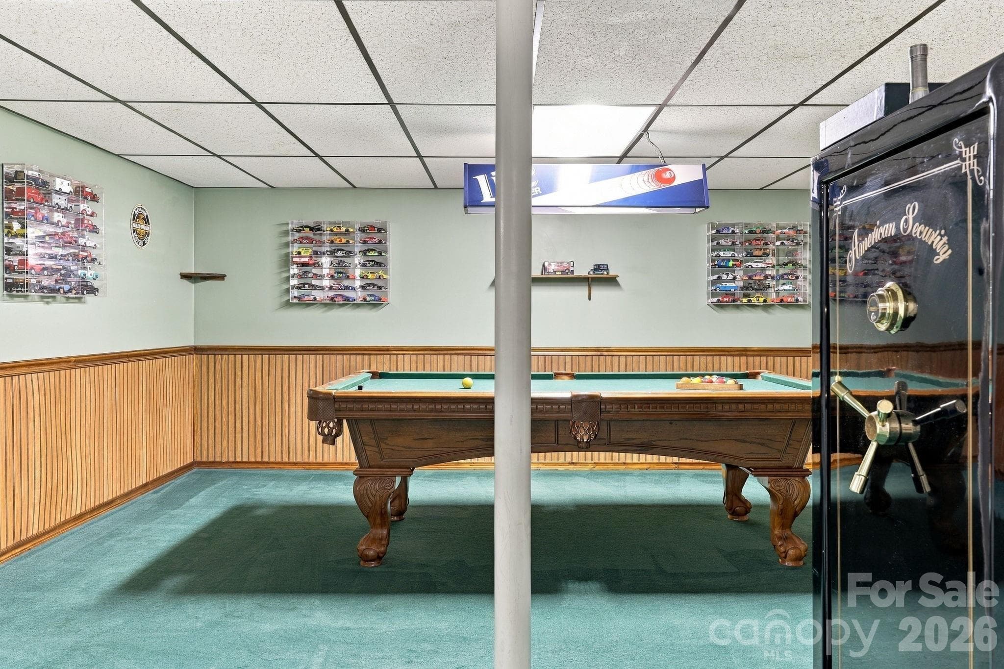 Finished lower level flex space- DRY! - 6 Cisco Road, Asheville