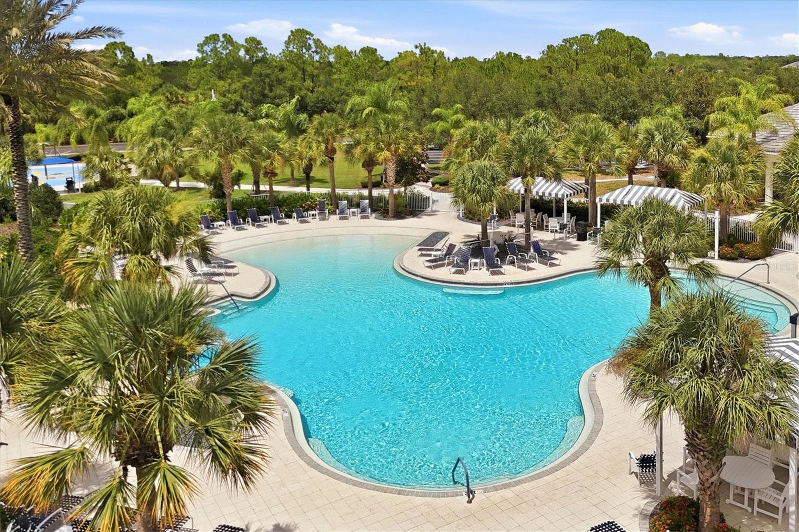 Grand Palm Amenities - 12676 SAGEWOOD DR, VENICE