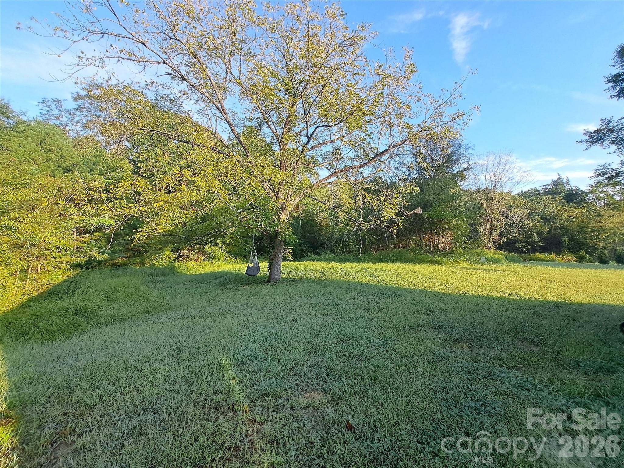 Back yard - 425 Hilbert Road, Rockwell