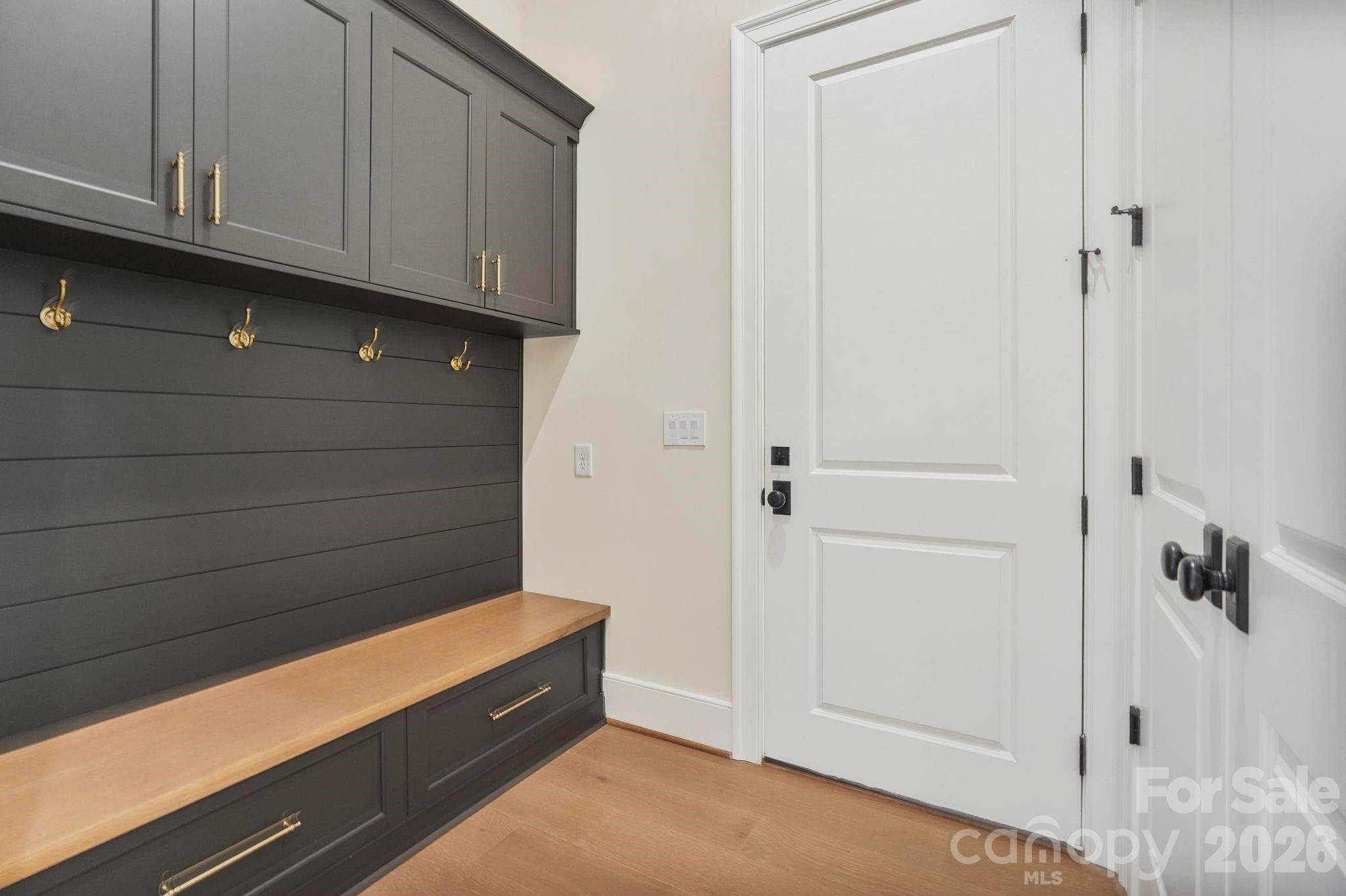 Thoughtful millwork, tons of storage. - 21216 Rio Oro Drive, Cornelius