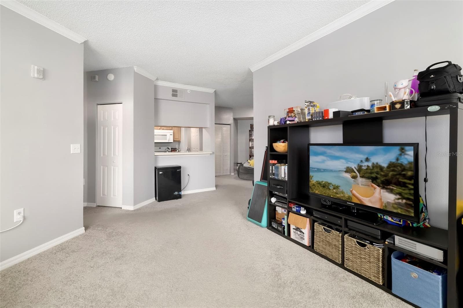 Primary Living Space. - 5500 BENTGRASS DR #6-203, SARASOTA