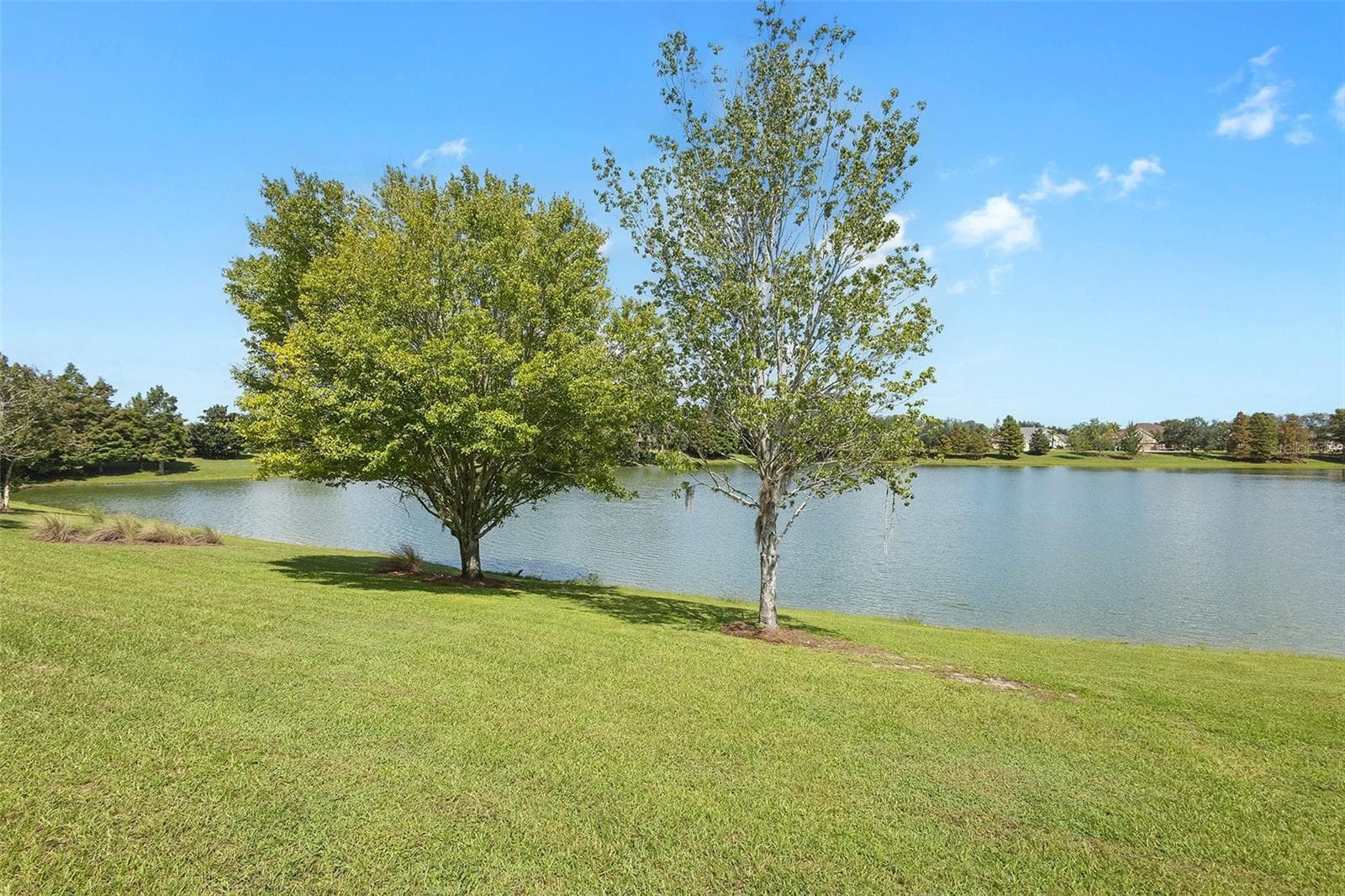 Single Family Residence at 1757 PENNECAMP DR, THE VILLAGES, photo 51 of 59