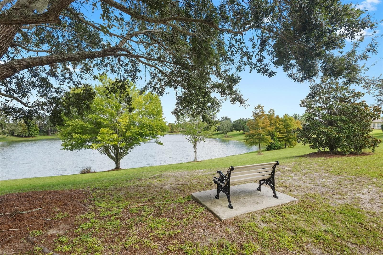 pond nearby - 1757 PENNECAMP DR, THE VILLAGES