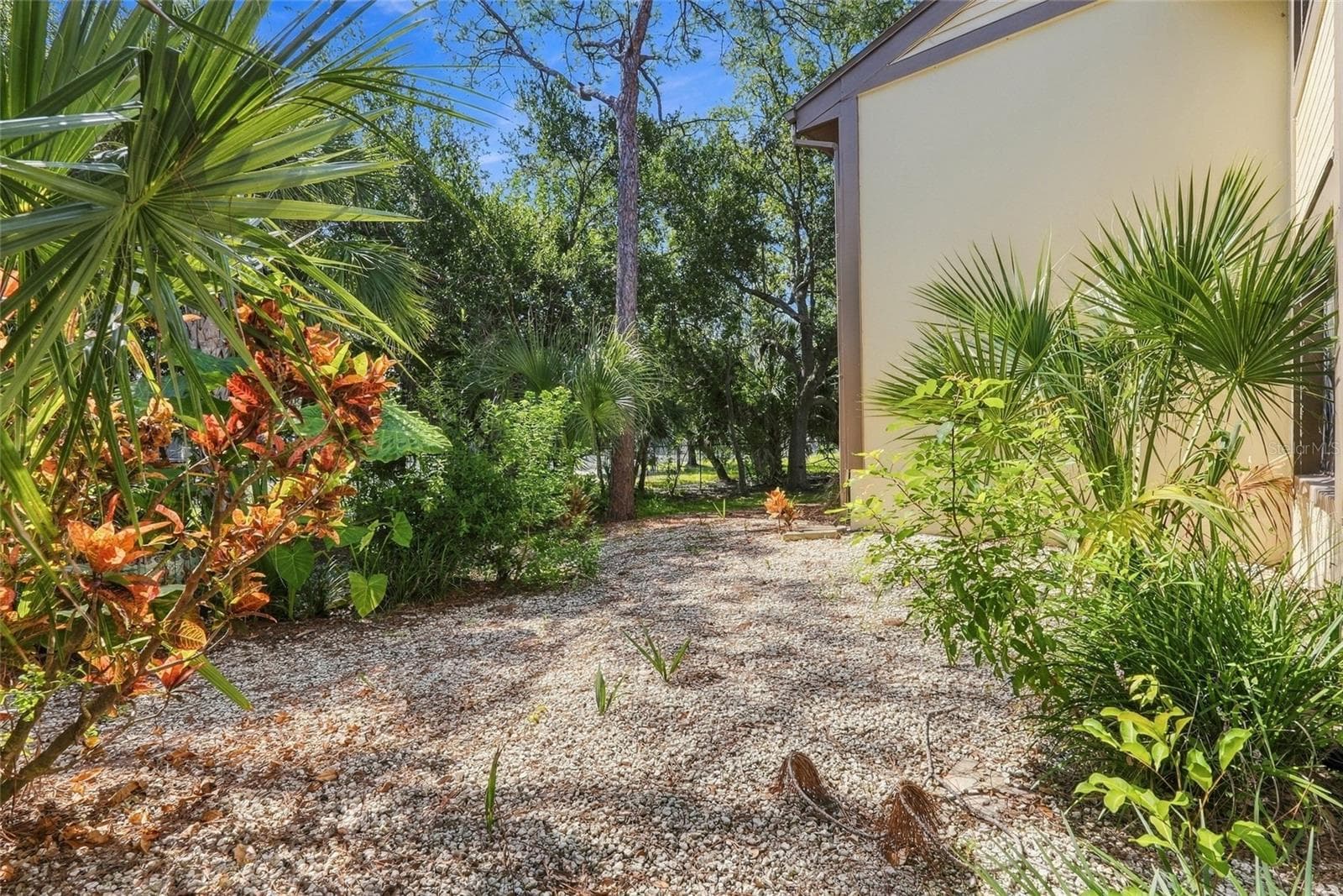 Backyard Space - 131 WOODLAKE WYNDE, OLDSMAR
