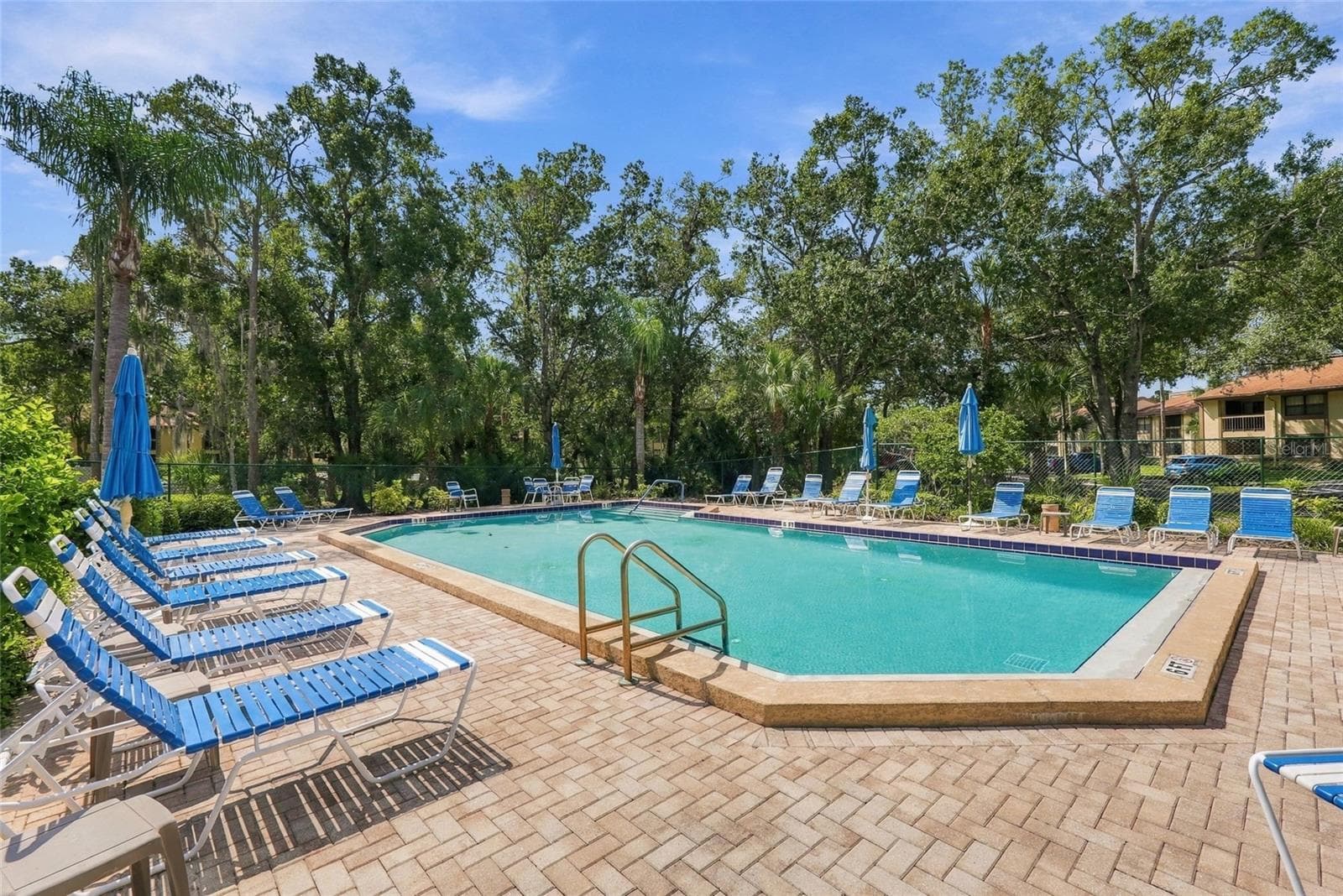 Community Pool across the Street - 131 WOODLAKE WYNDE, OLDSMAR