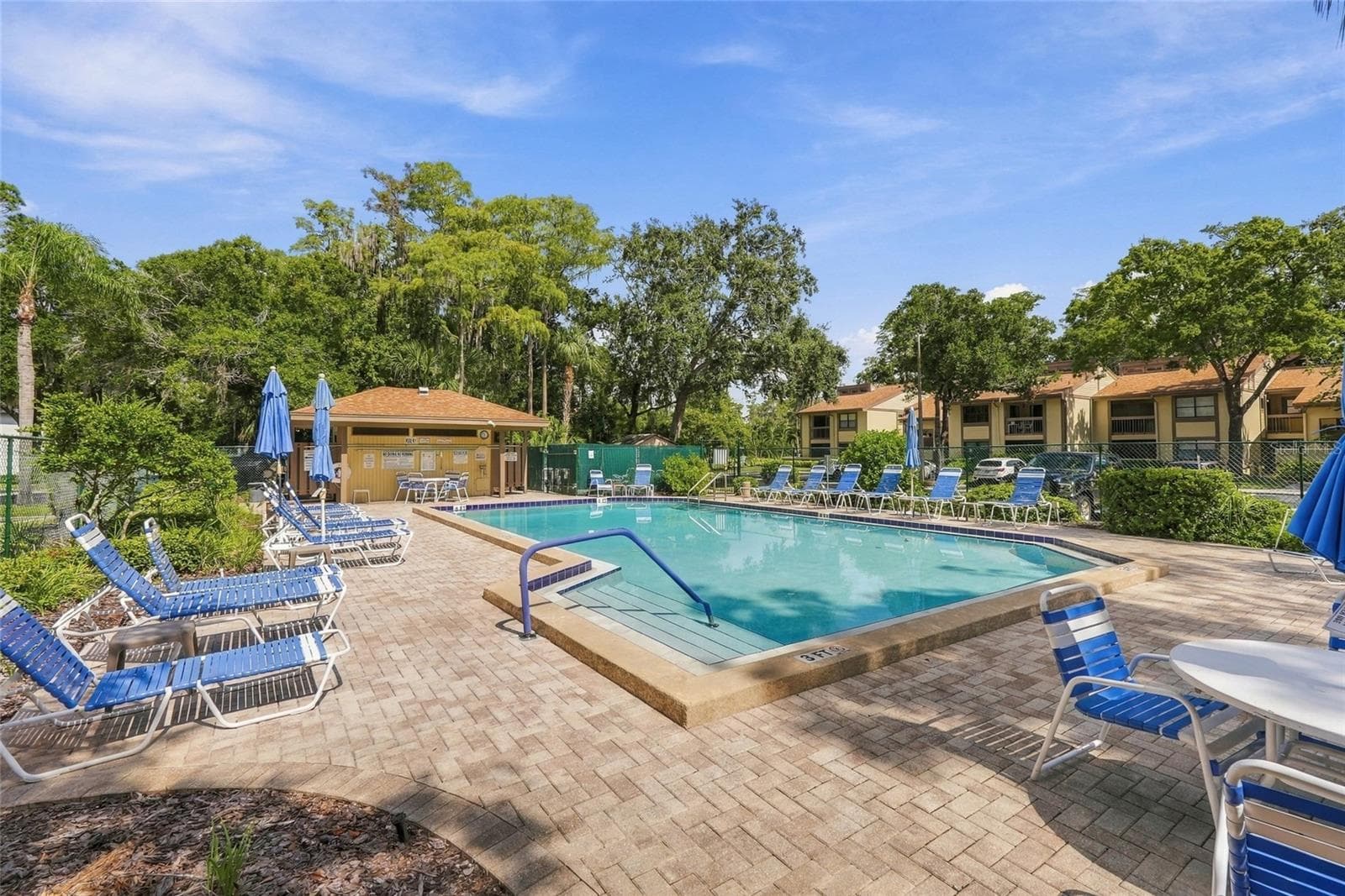 Community Pool across the Street - 131 WOODLAKE WYNDE, OLDSMAR