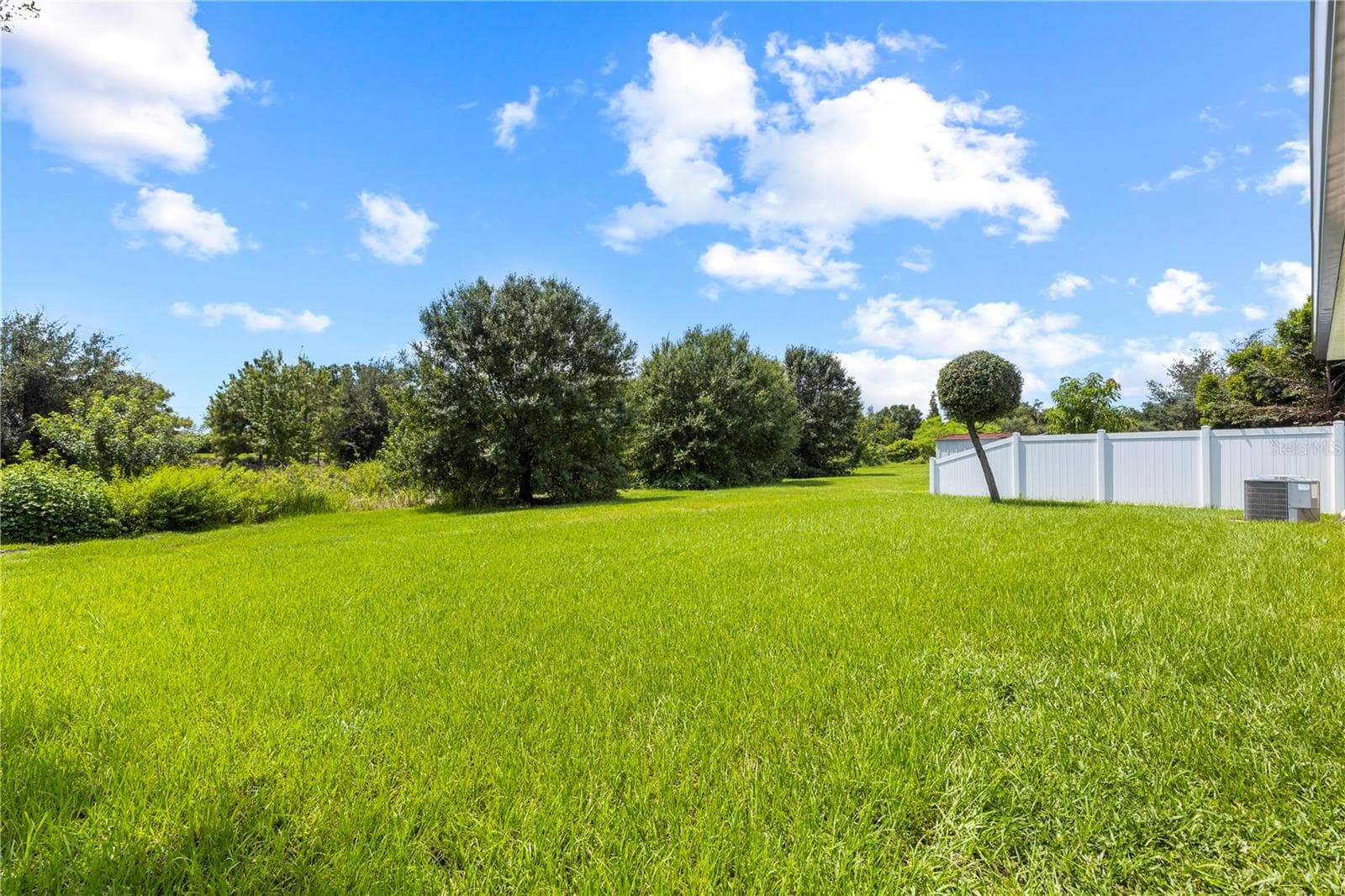 Single Family Residence at 10527 PARK MEADOWBROOKE DR, RIVERVIEW, photo 46 of 62