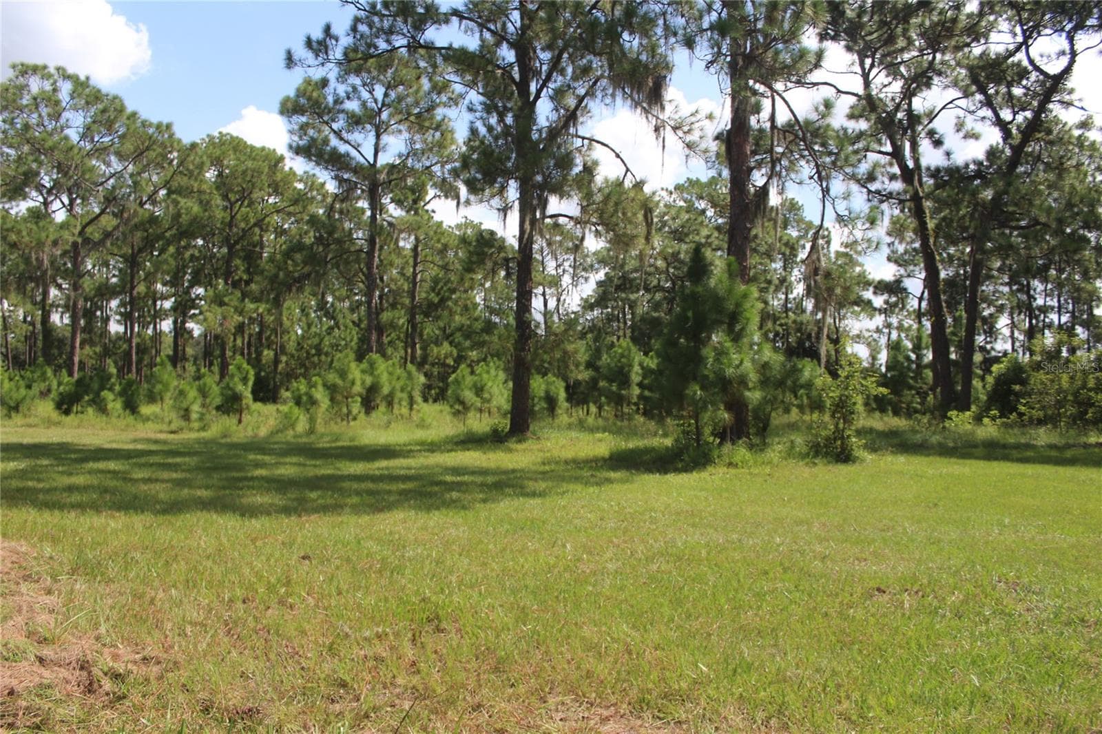 Land at 0 US HIGHWAY 98 W, FROSTPROOF, photo 4 of 9