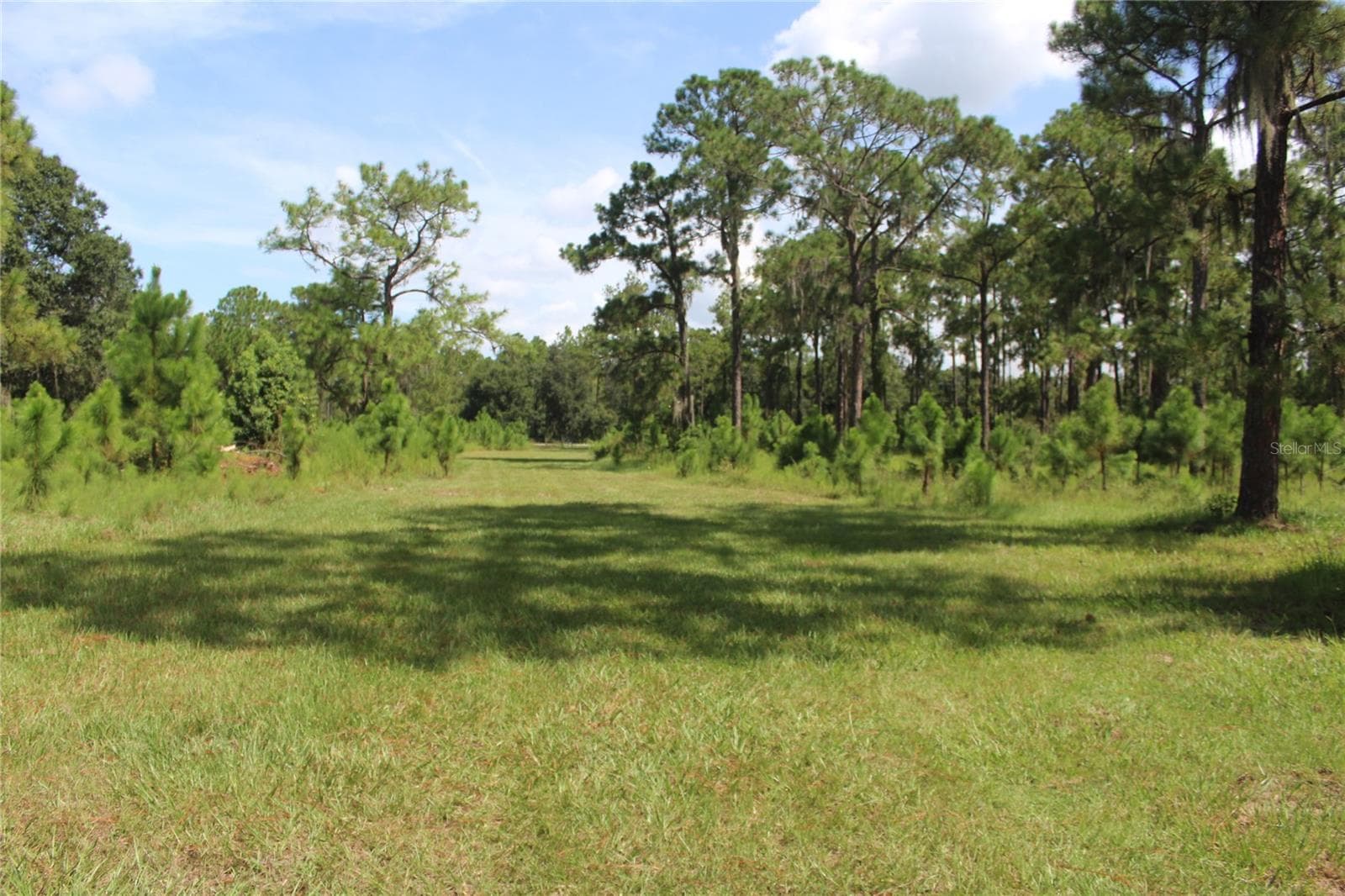 Land at 0 US HIGHWAY 98 W, FROSTPROOF, photo 6 of 9