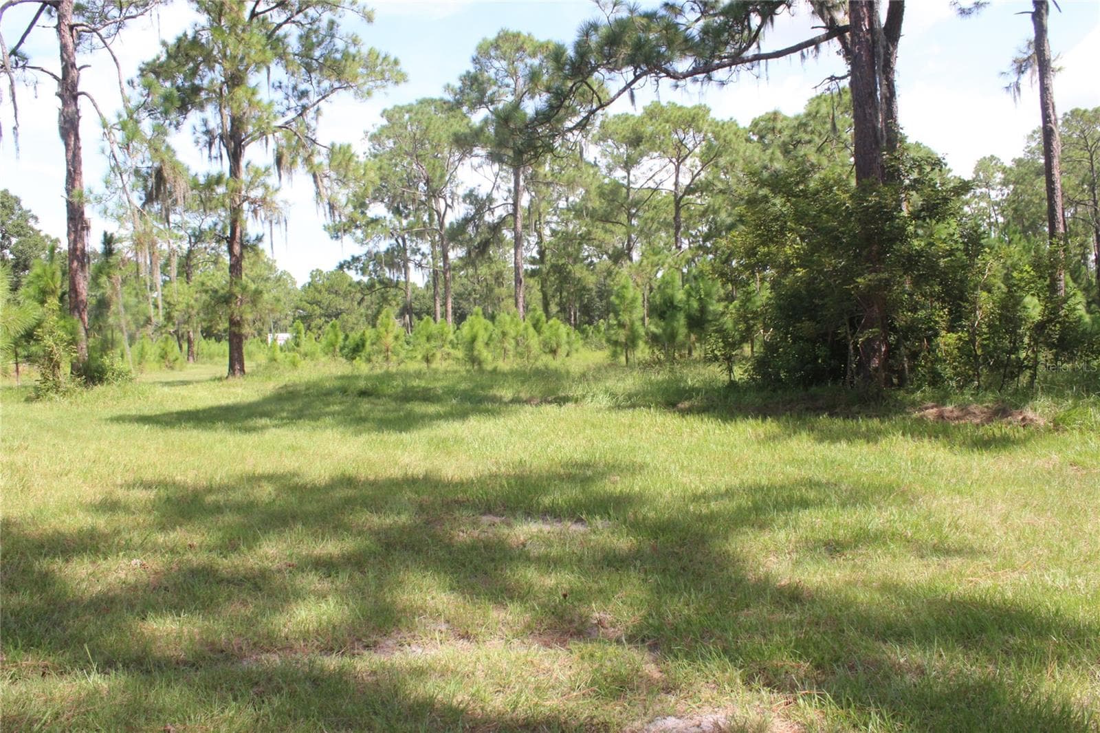 Land at 0 US HIGHWAY 98 W, FROSTPROOF, photo 9 of 9