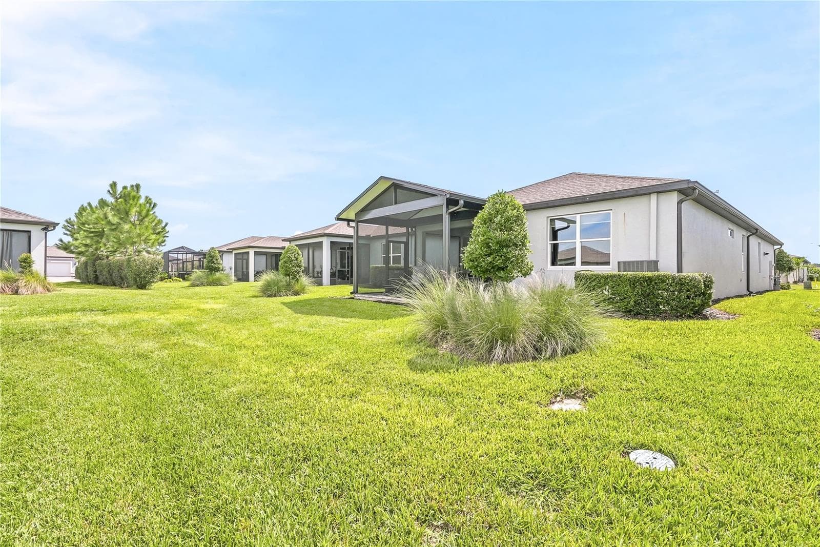 Looking at Rear of home - 5535 BLUE CRUSH BND, LAND O LAKES