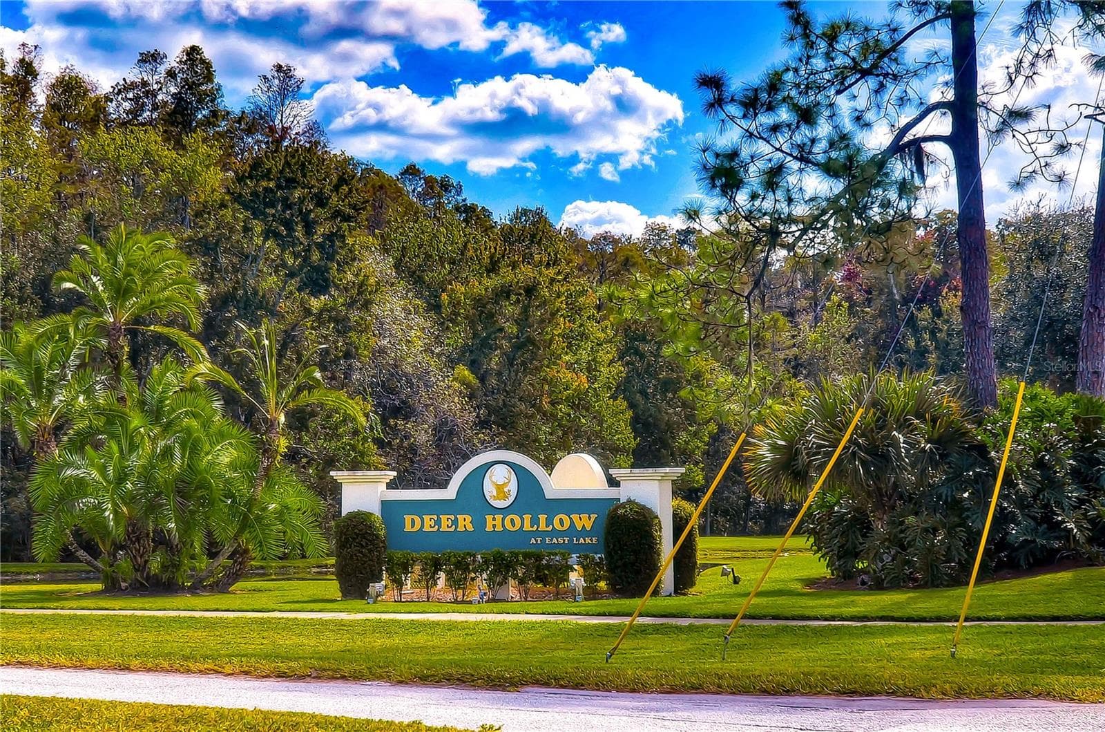 Condominium at 3161 LAKE PINE WAY S #F3, TARPON SPRINGS, photo 29 of 42