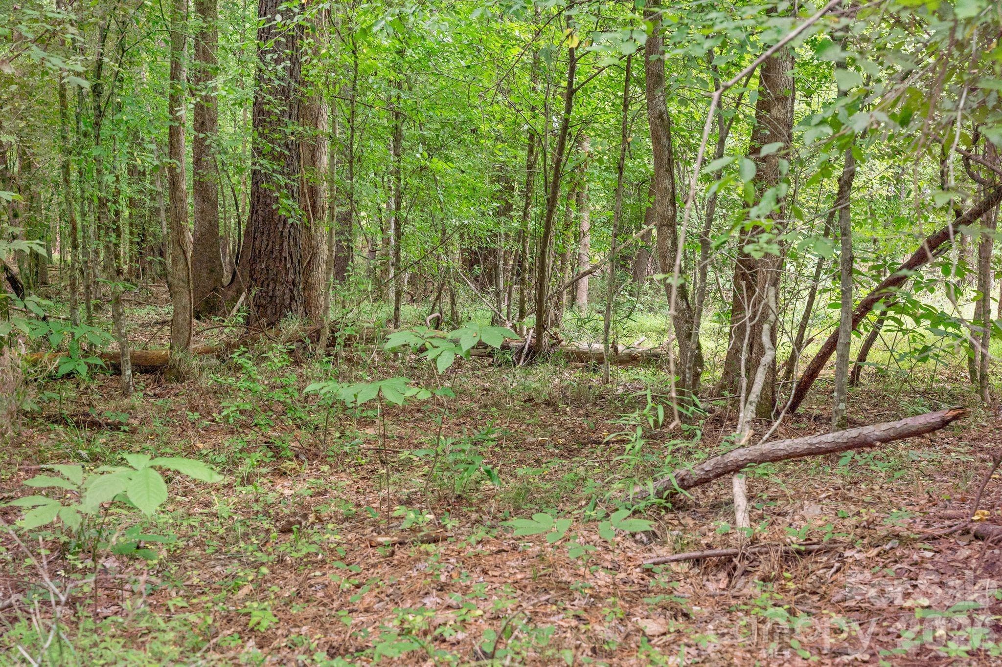 Acreage at 0000 Hwy 72 Highway, Carlisle, photo 11 of 30