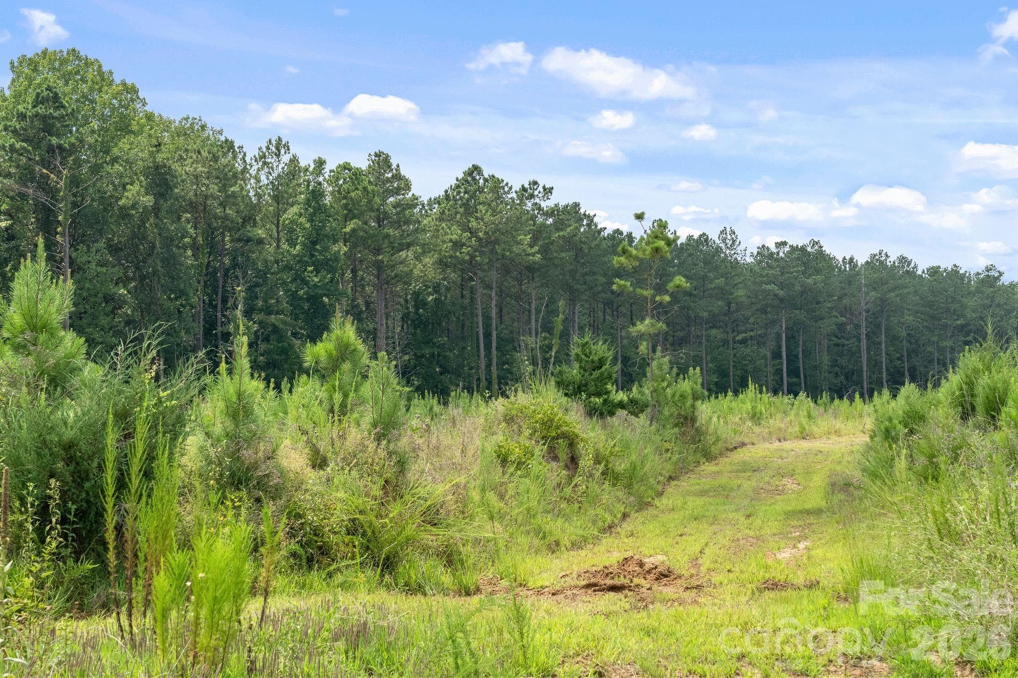 Acreage at 0000 Hwy 72 Highway, Carlisle, photo 12 of 30
