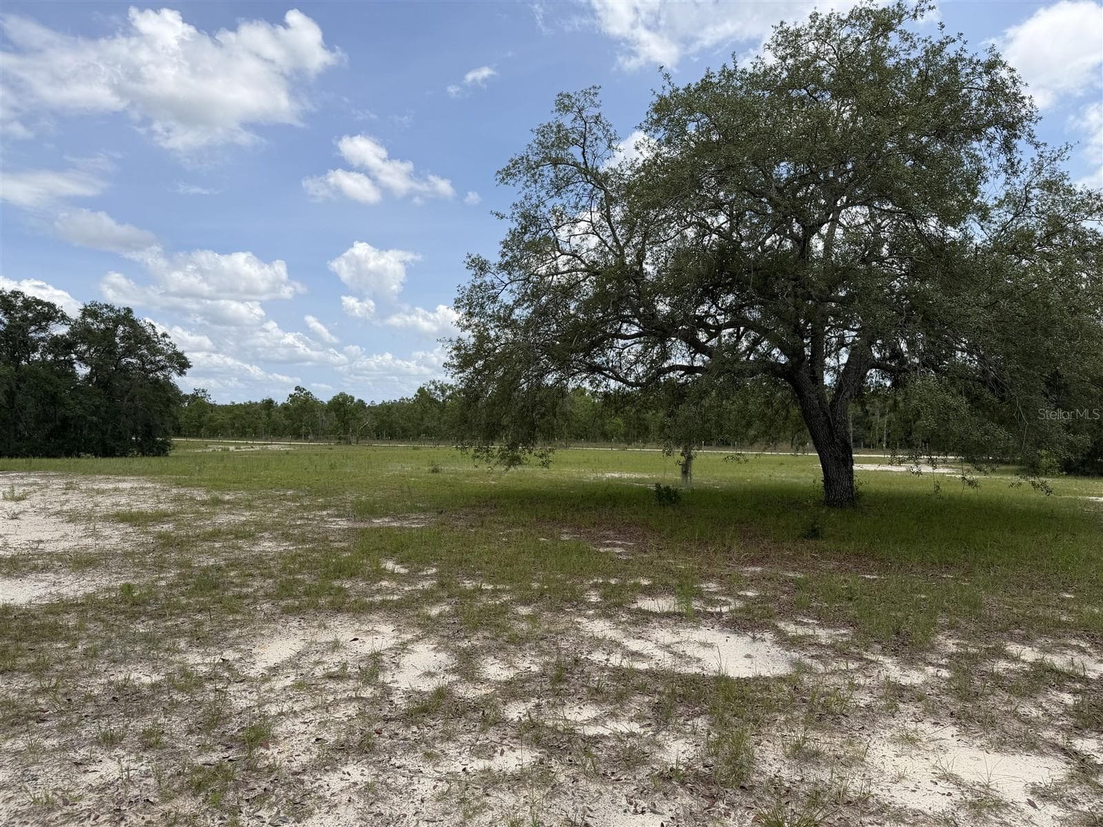 Manufactured Home at 13351 SE 101ST PL, DUNNELLON, photo 34 of 36