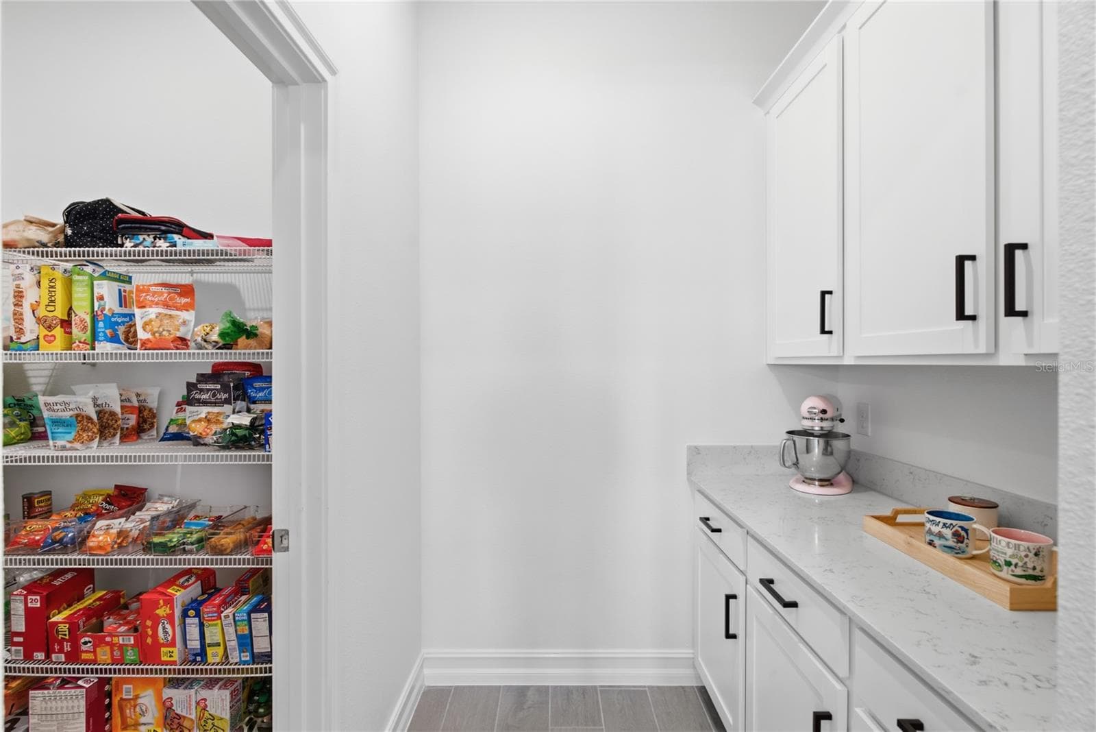Butler's pantry/walk in pantry - 8908 LITTLE BLUESTEM DR, LAND O LAKES