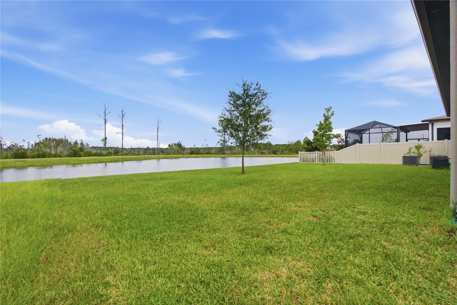 Single Family Residence at 8908 LITTLE BLUESTEM DR, LAND O LAKES, photo 40 of 59