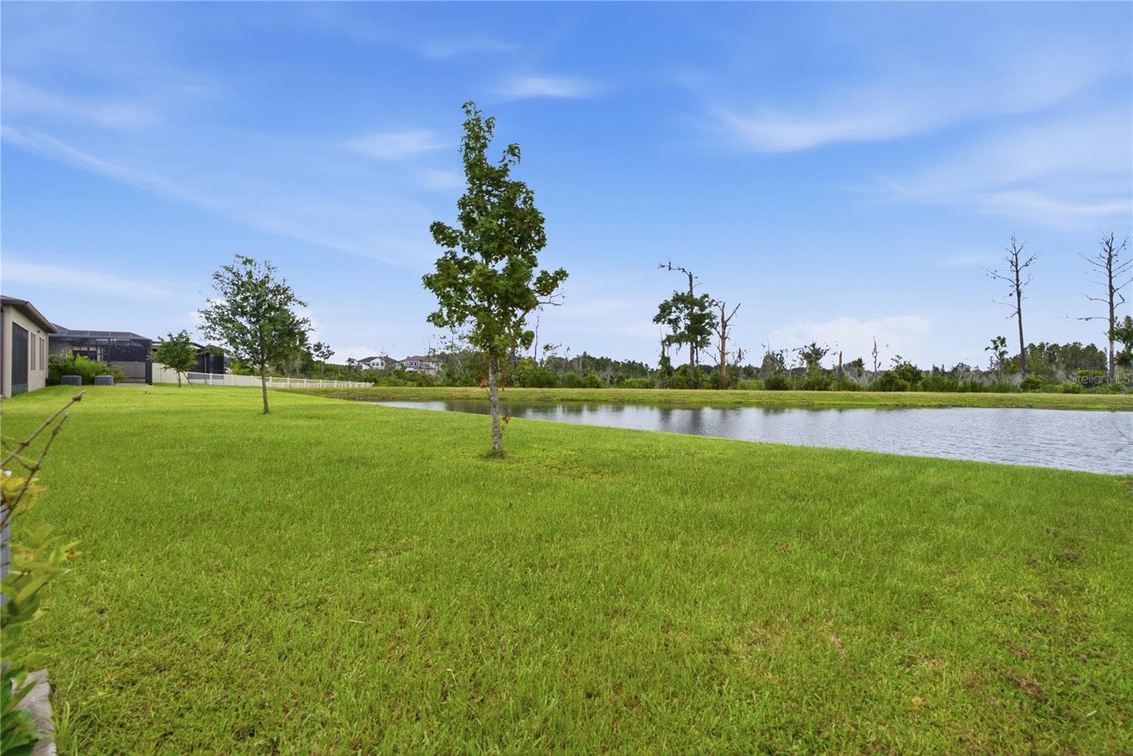 Single Family Residence at 8908 LITTLE BLUESTEM DR, LAND O LAKES, photo 43 of 59