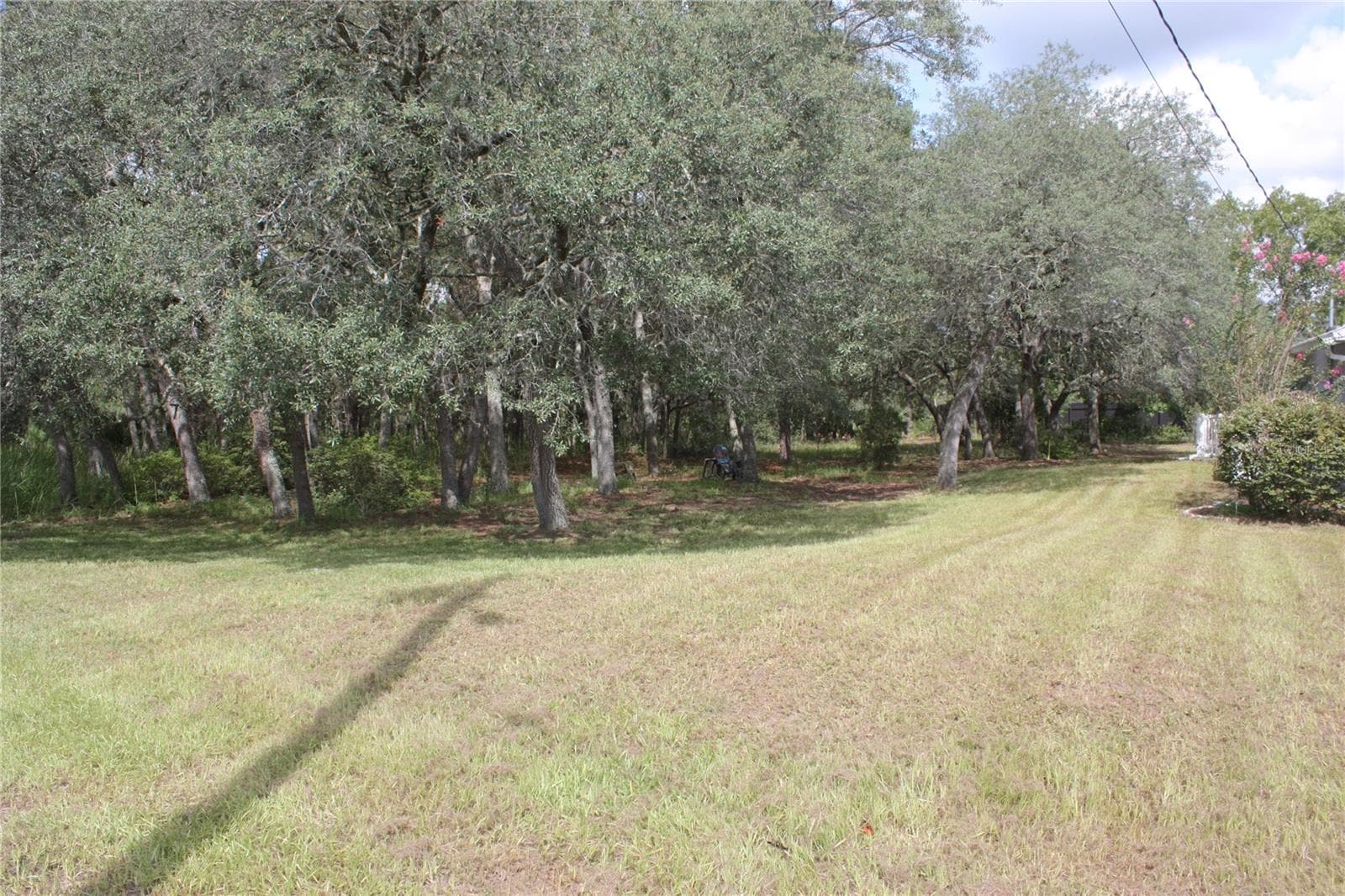 Single Family Residence at 1923 W MCNEAL DR, CITRUS SPRINGS, photo 3 of 27
