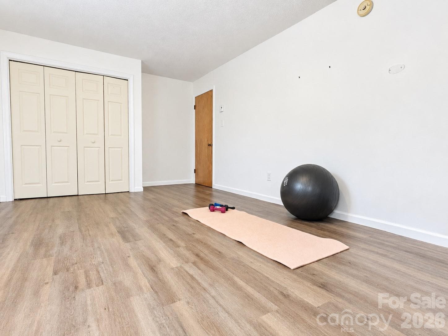 Lower flex space with so many possibilities! - Asheville
