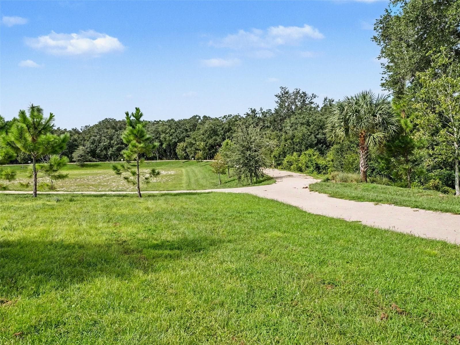 Natural Trails - 4484 LIONS GATE AVE, CLERMONT
