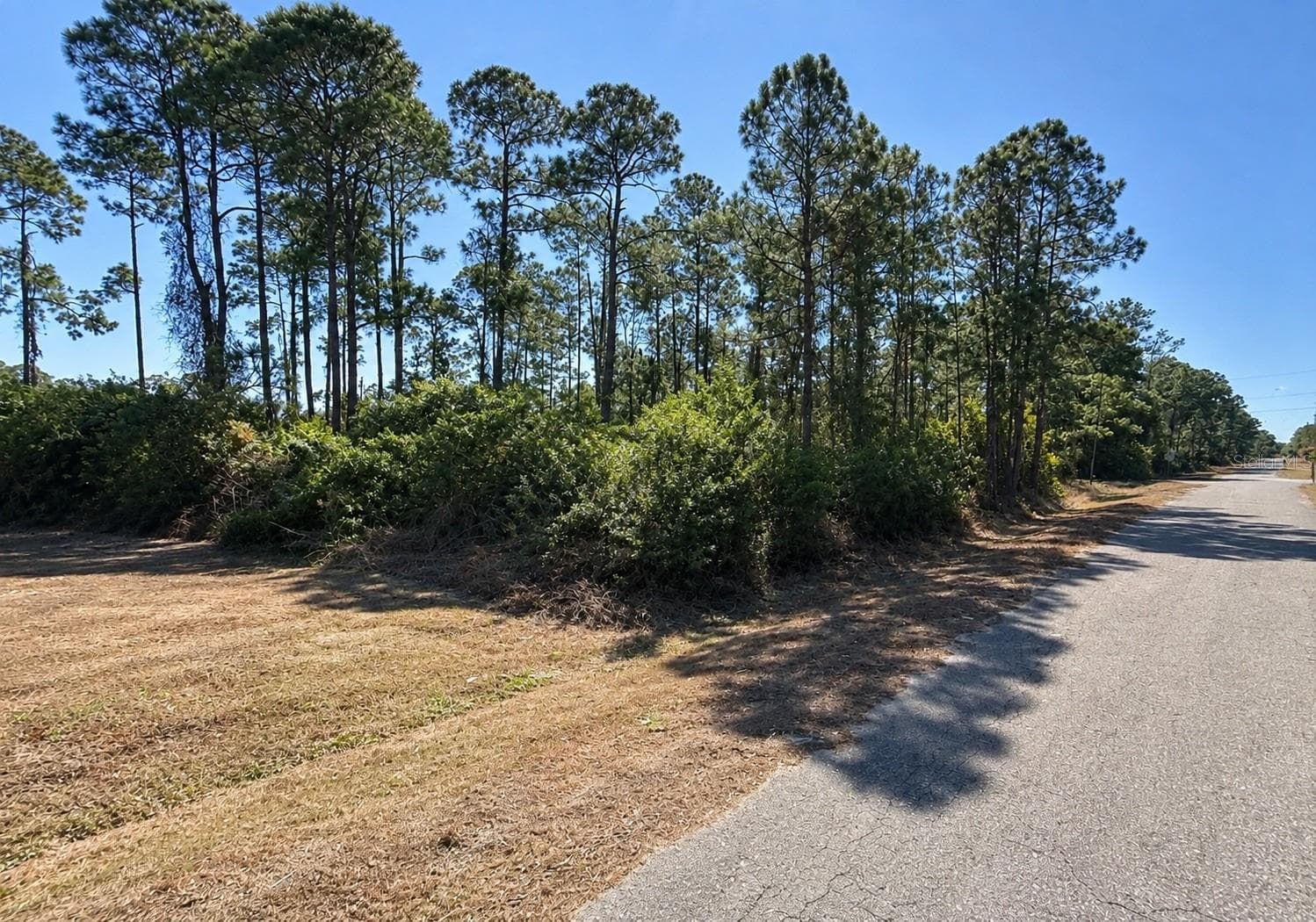 Land at 3001 E 21ST ST, ALVA, photo 2 of 4
