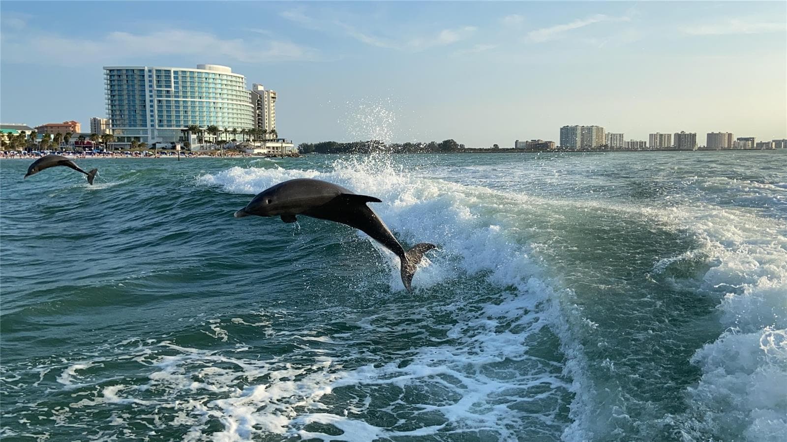Condominium at 400 ISLAND WAY #701, CLEARWATER BEACH, photo 55 of 56