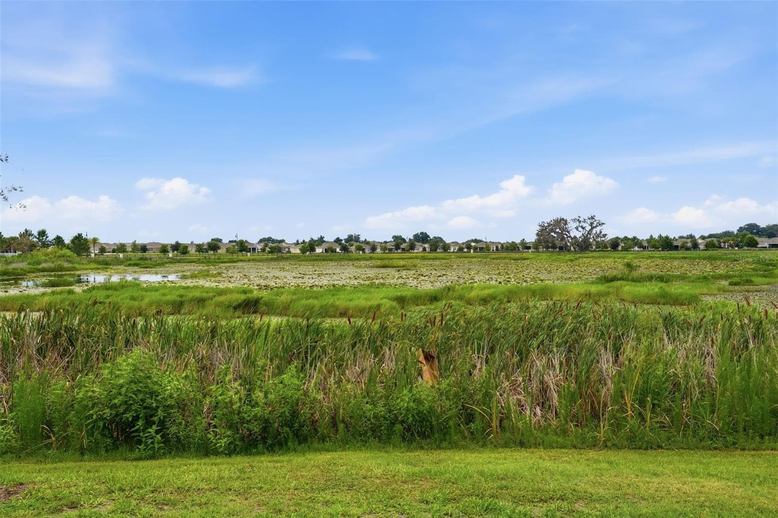 No Neighbors behind you! Your View - 5238 DRAGONFLY DR, WILDWOOD