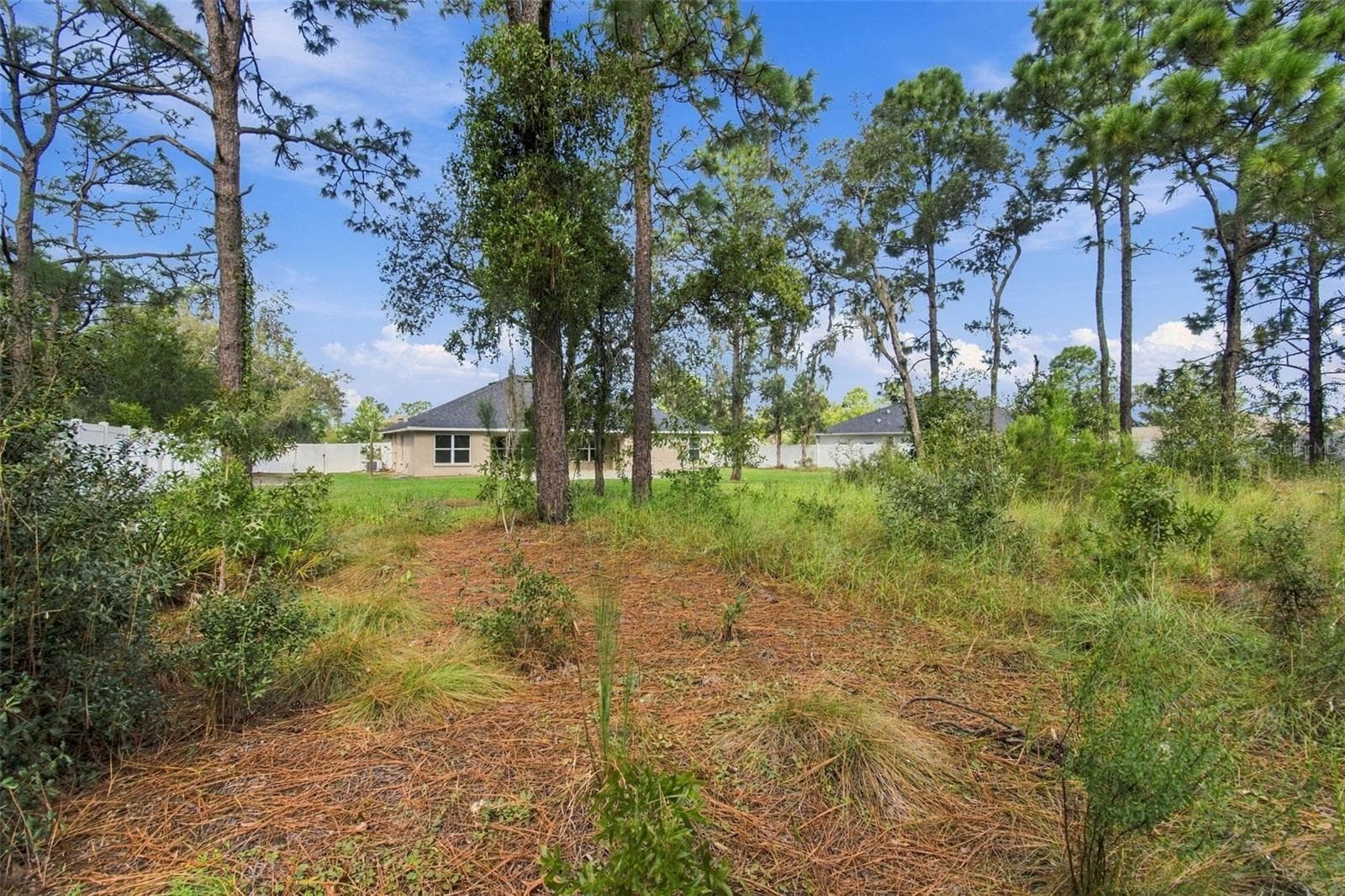 Single Family Residence at 12784 SIGMUND ST, SPRING HILL, photo 45 of 52