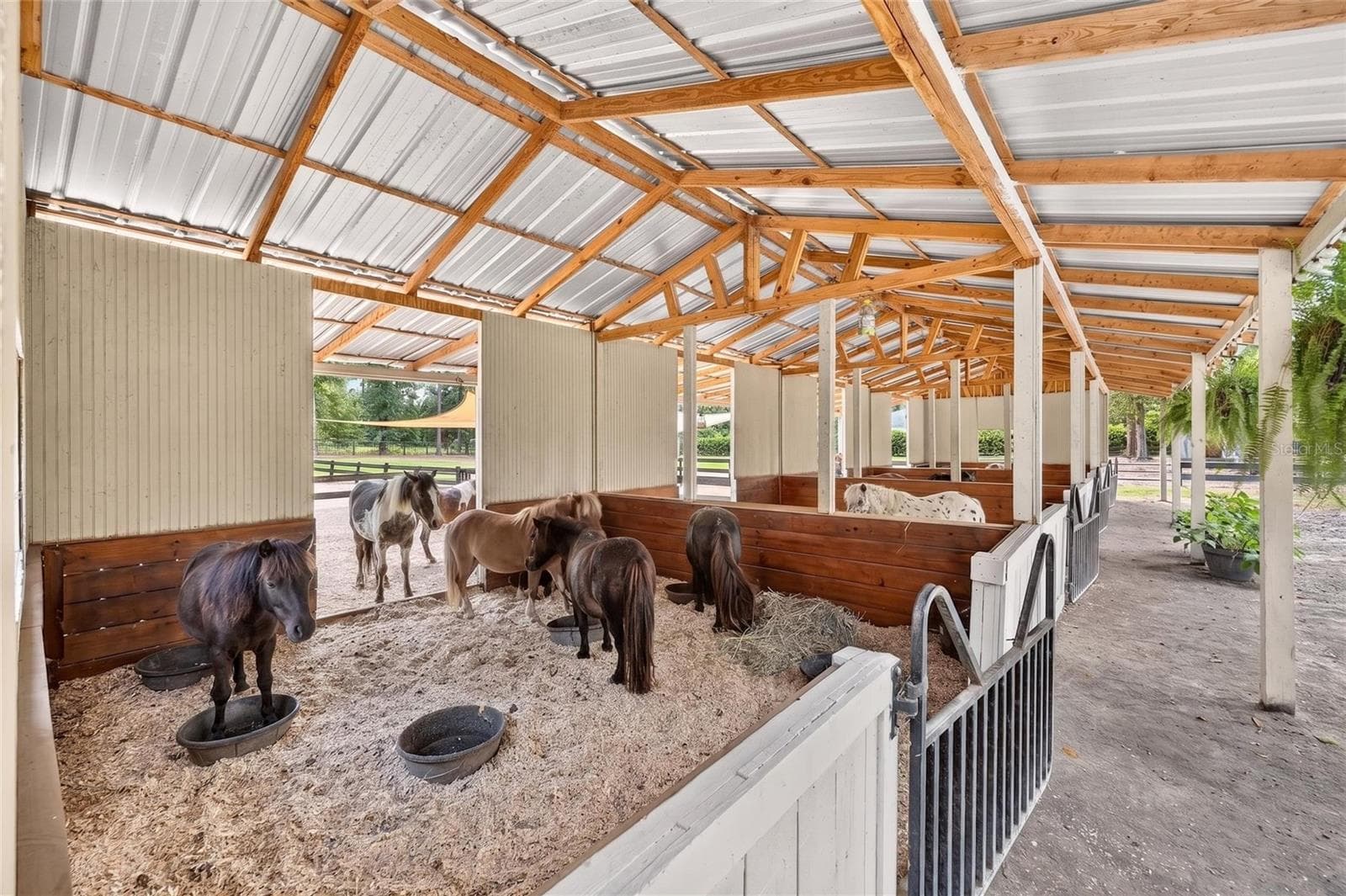 Farm at 7808 NW 21ST ST, OCALA, photo 50 of 80