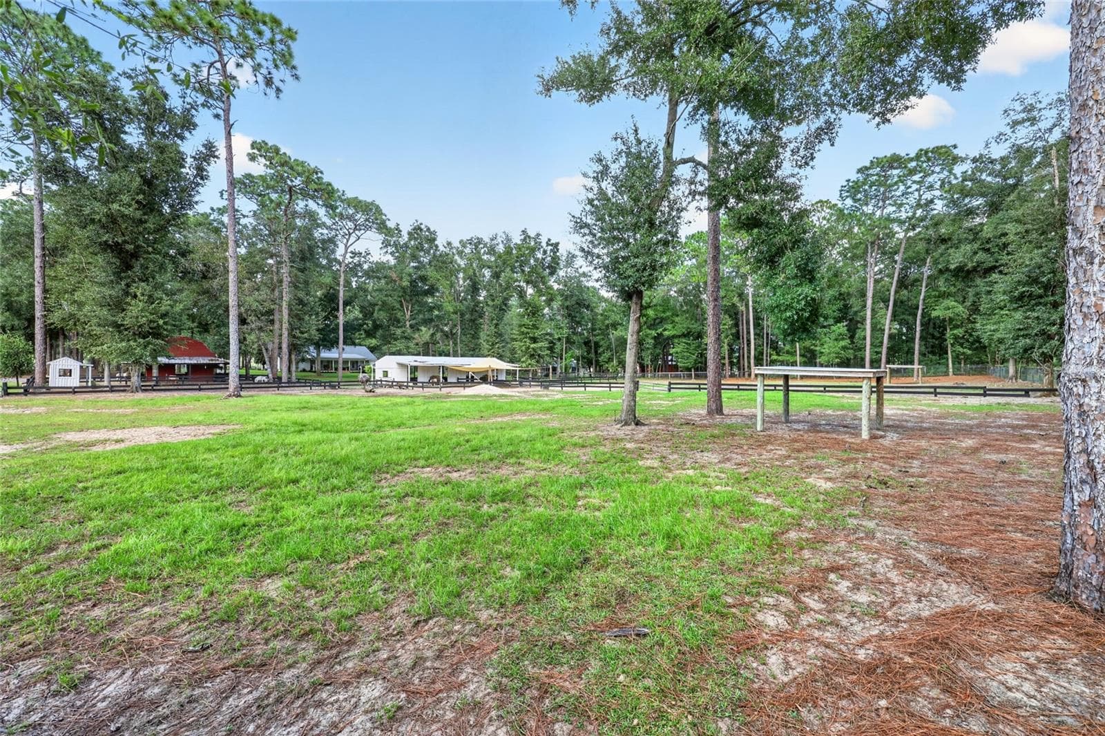Farm at 7808 NW 21ST ST, OCALA, photo 54 of 80