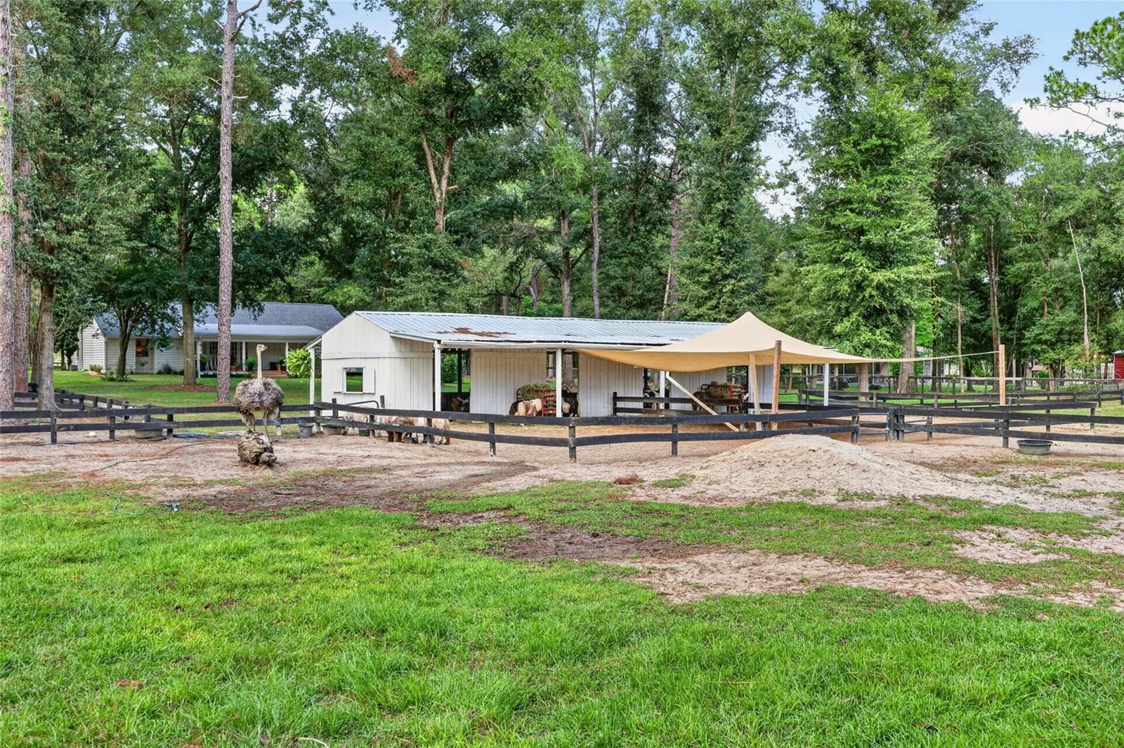 Farm at 7808 NW 21ST ST, OCALA, photo 51 of 80