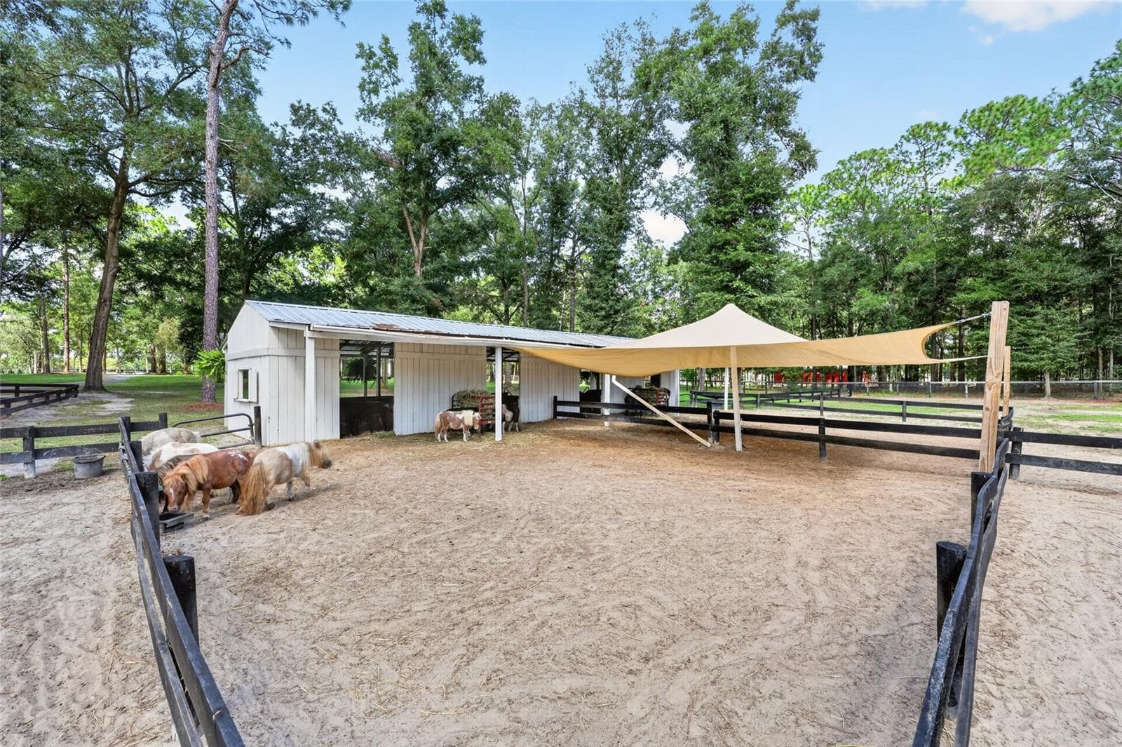 Farm at 7808 NW 21ST ST, OCALA, photo 52 of 80