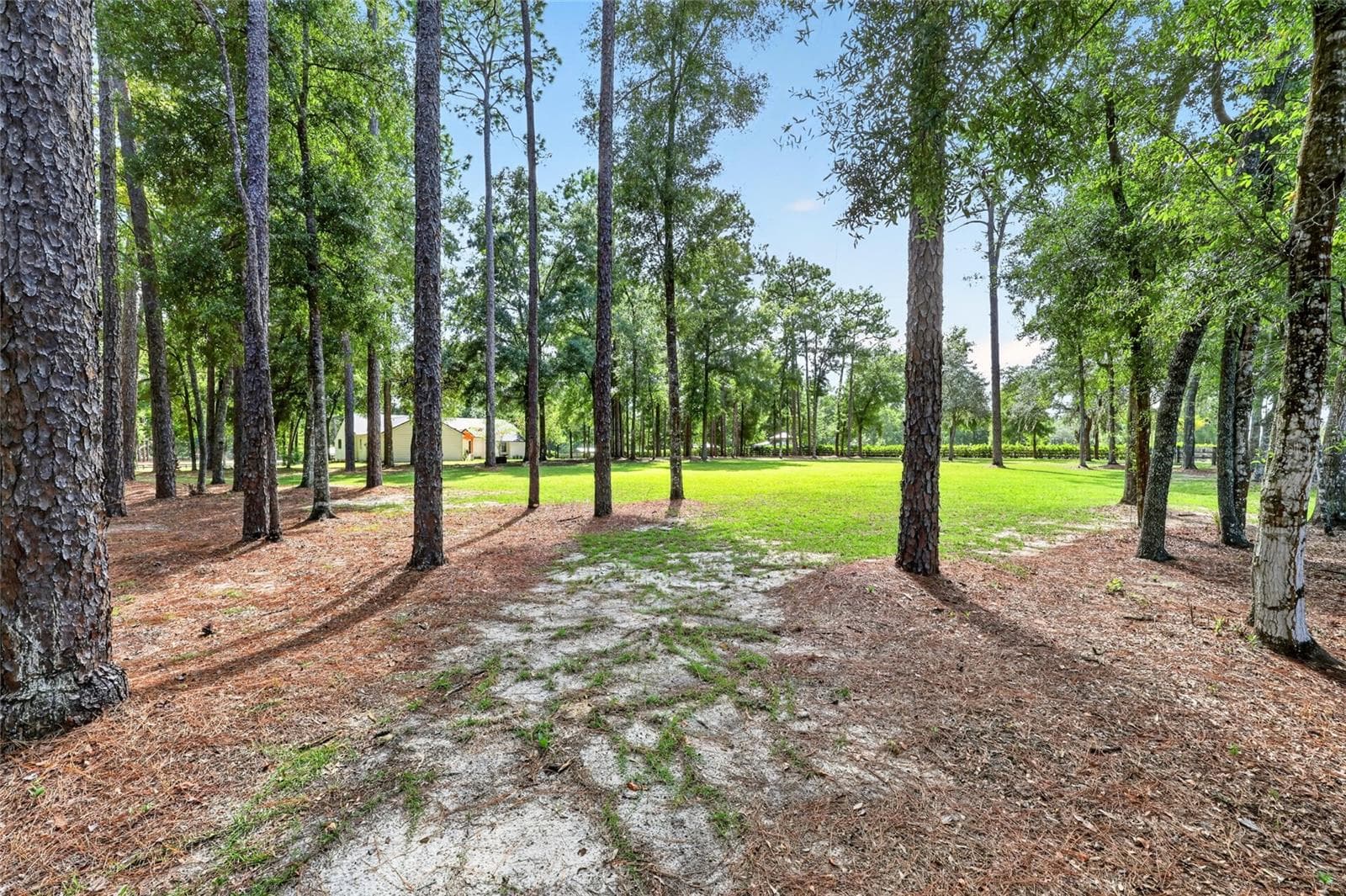 Farm at 7808 NW 21ST ST, OCALA, photo 63 of 80