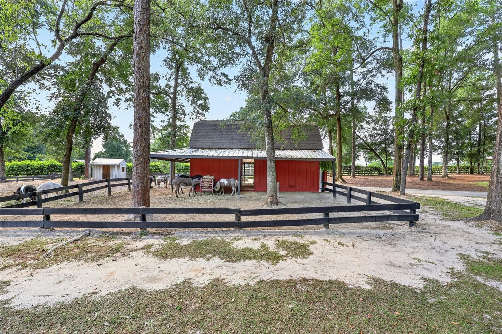 Farm at 7808 NW 21ST ST, OCALA, photo 58 of 80