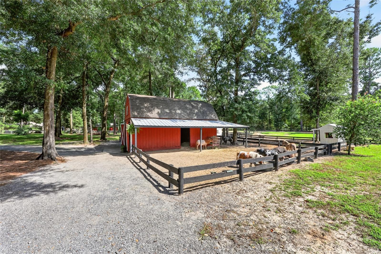 Farm at 7808 NW 21ST ST, OCALA, photo 61 of 80