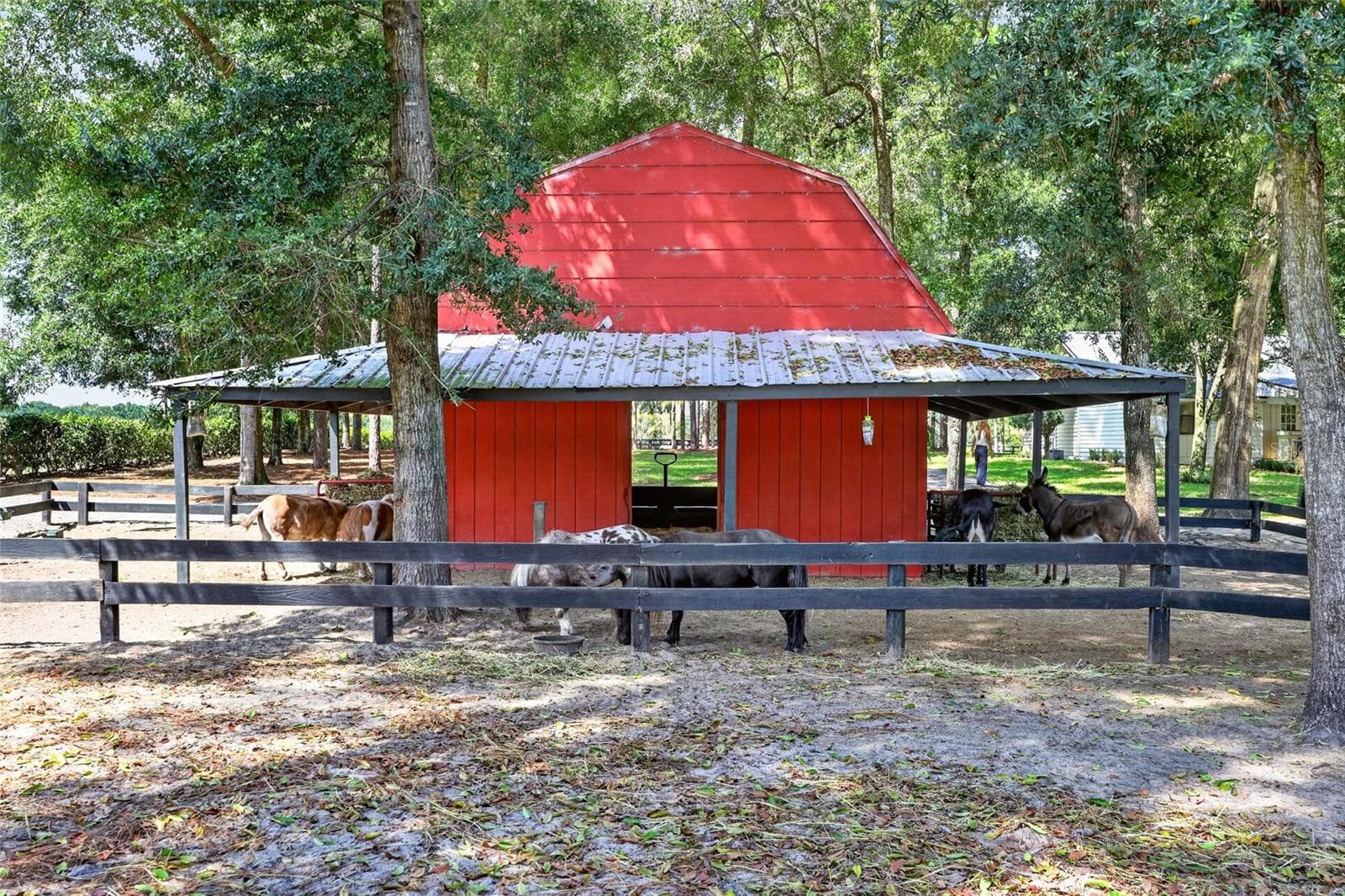 Farm at 7808 NW 21ST ST, OCALA, photo 59 of 80