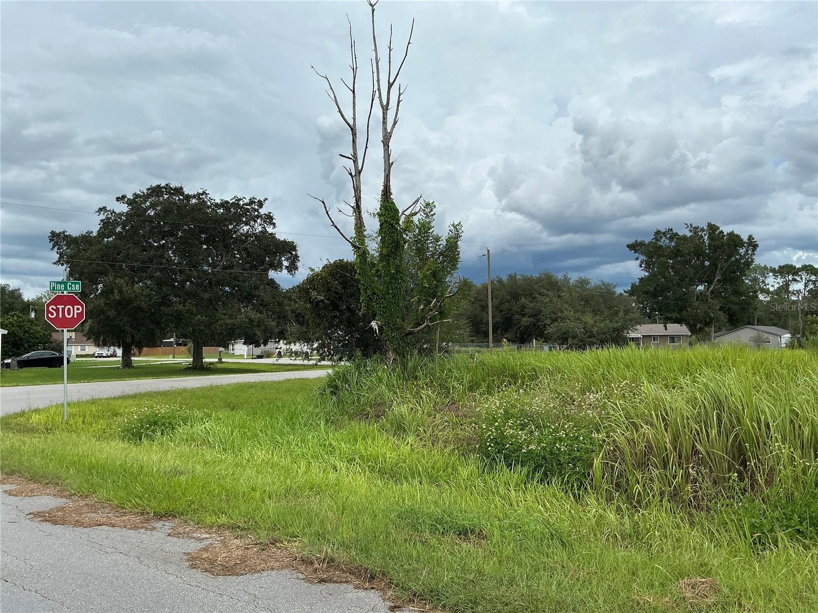 Land at PINE COURSE RUN, OCALA, photo 3 of 8