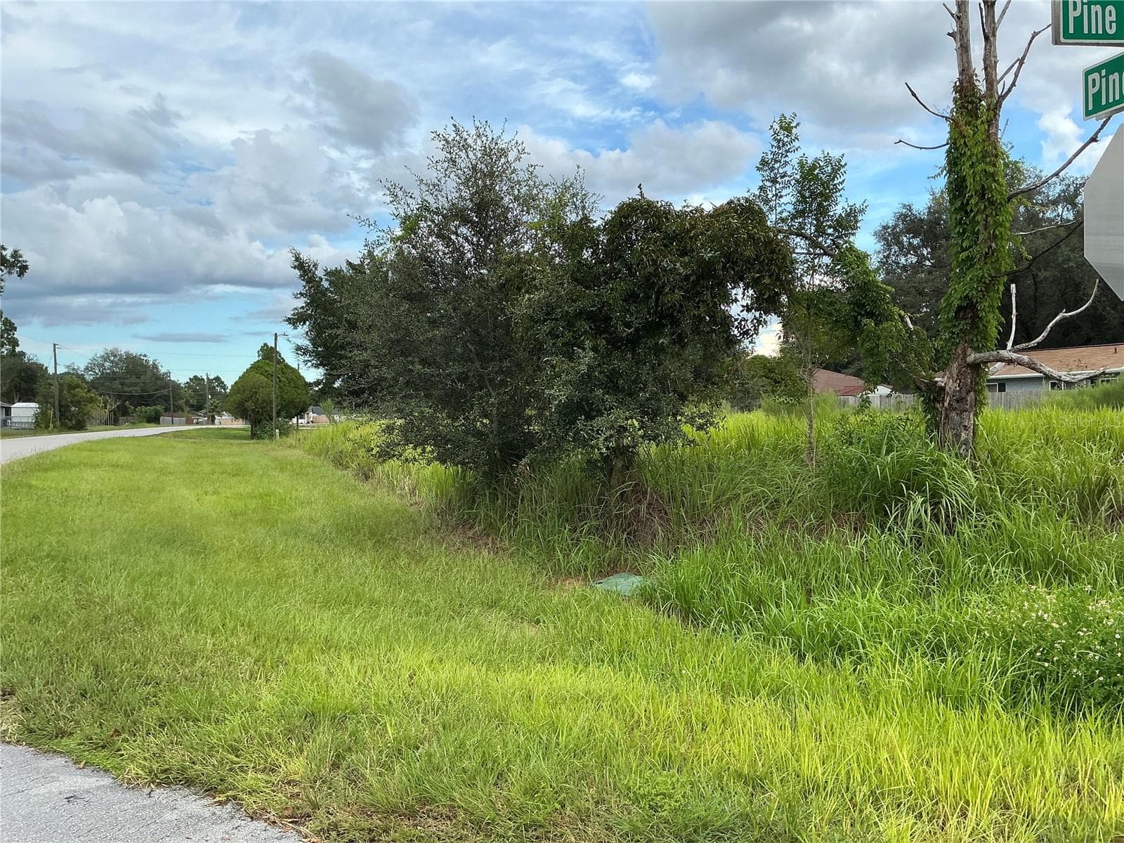 Land at PINE COURSE RUN, OCALA, photo 6 of 8