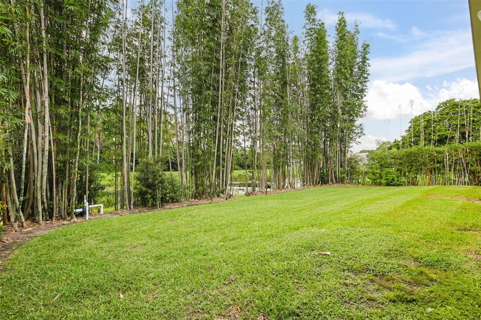Single Family Residence at 5332 DORRINGTON LN, ORLANDO, photo 55 of 73
