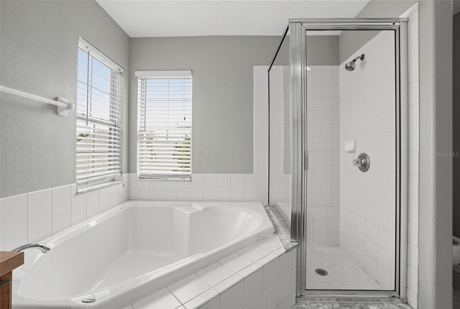 Single Family Residence at 16234 BRIDGEWALK DR, LITHIA, photo 17 of 32