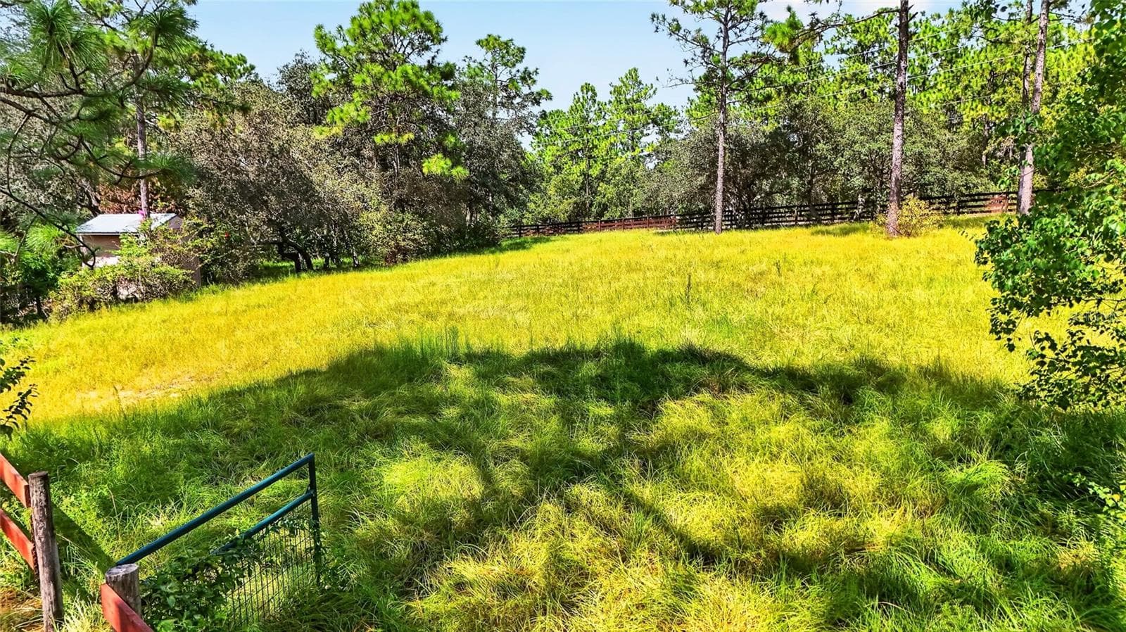 Front Pasture - 4295 N BRIDGER DR, BEVERLY HILLS