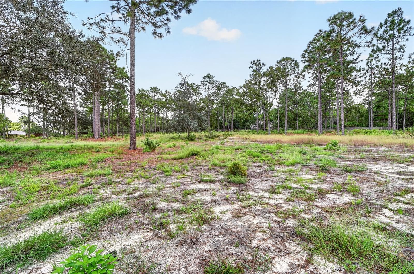 Additional lot included - 4295 N BRIDGER DR, BEVERLY HILLS