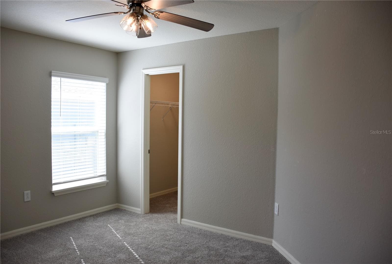 Bedroom 2 - 372 CASCARA LN, AUBURNDALE