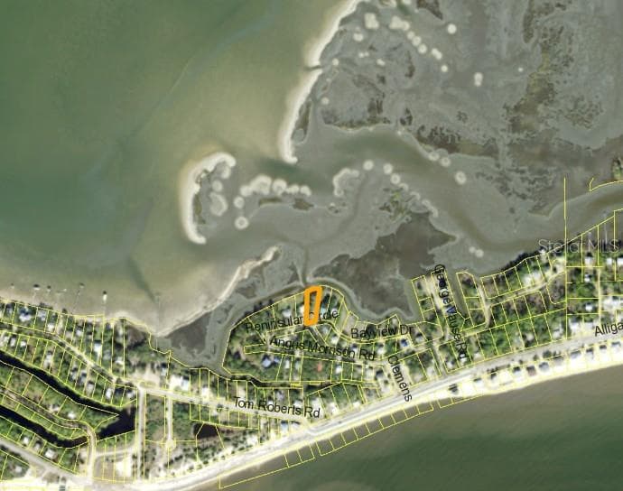 Land at 1294 PENINSULAR ST, PANACEA, photo 2 of 3