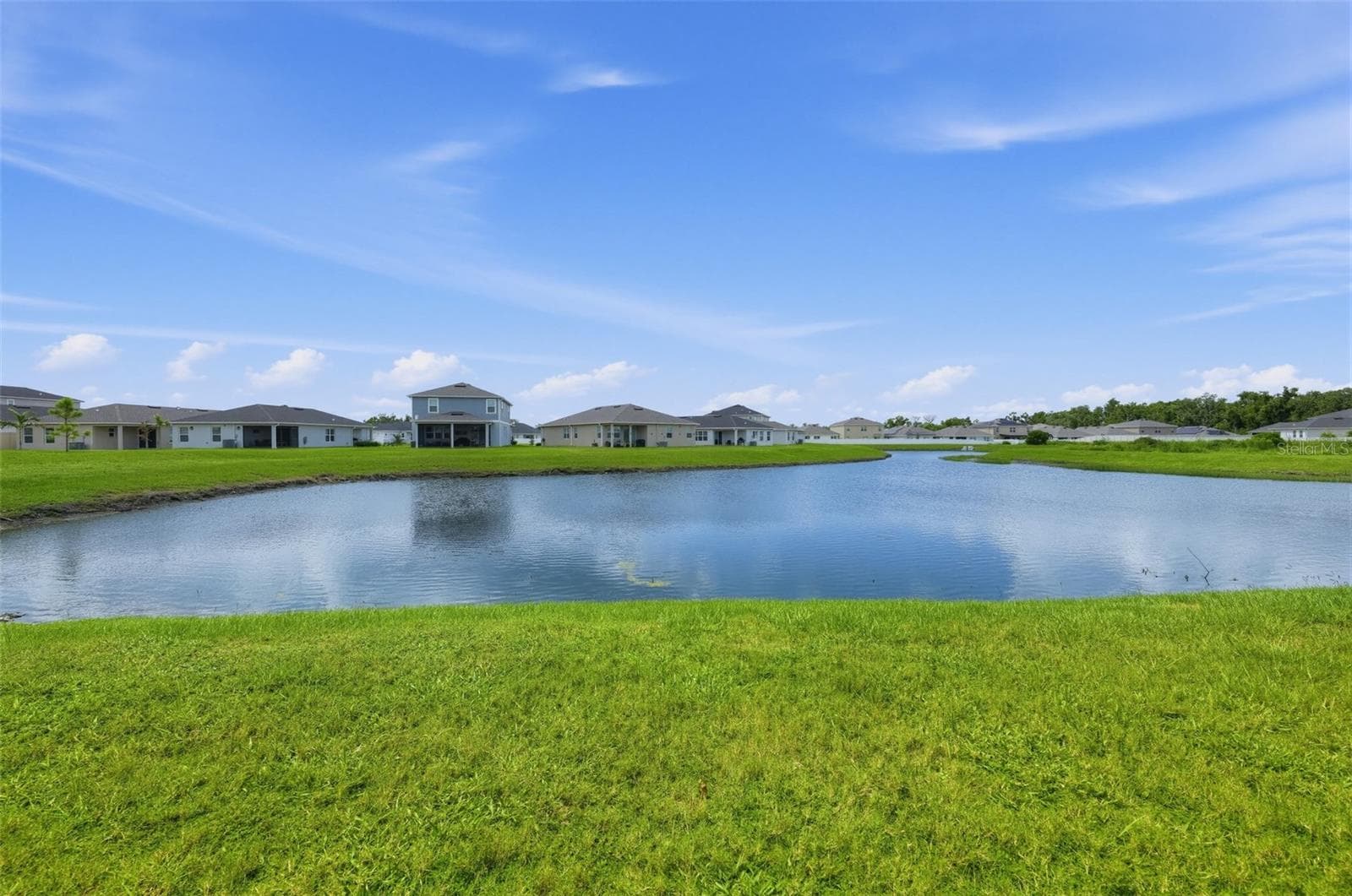 View from front - 11728 FIRESPIKE ST, RIVERVIEW